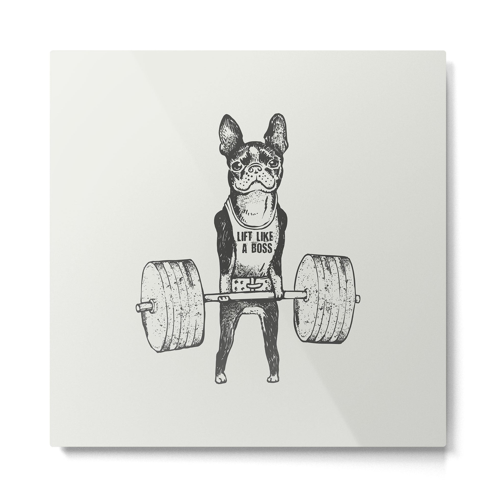 Boston Terrier Lift Metal Print | TeksDecor