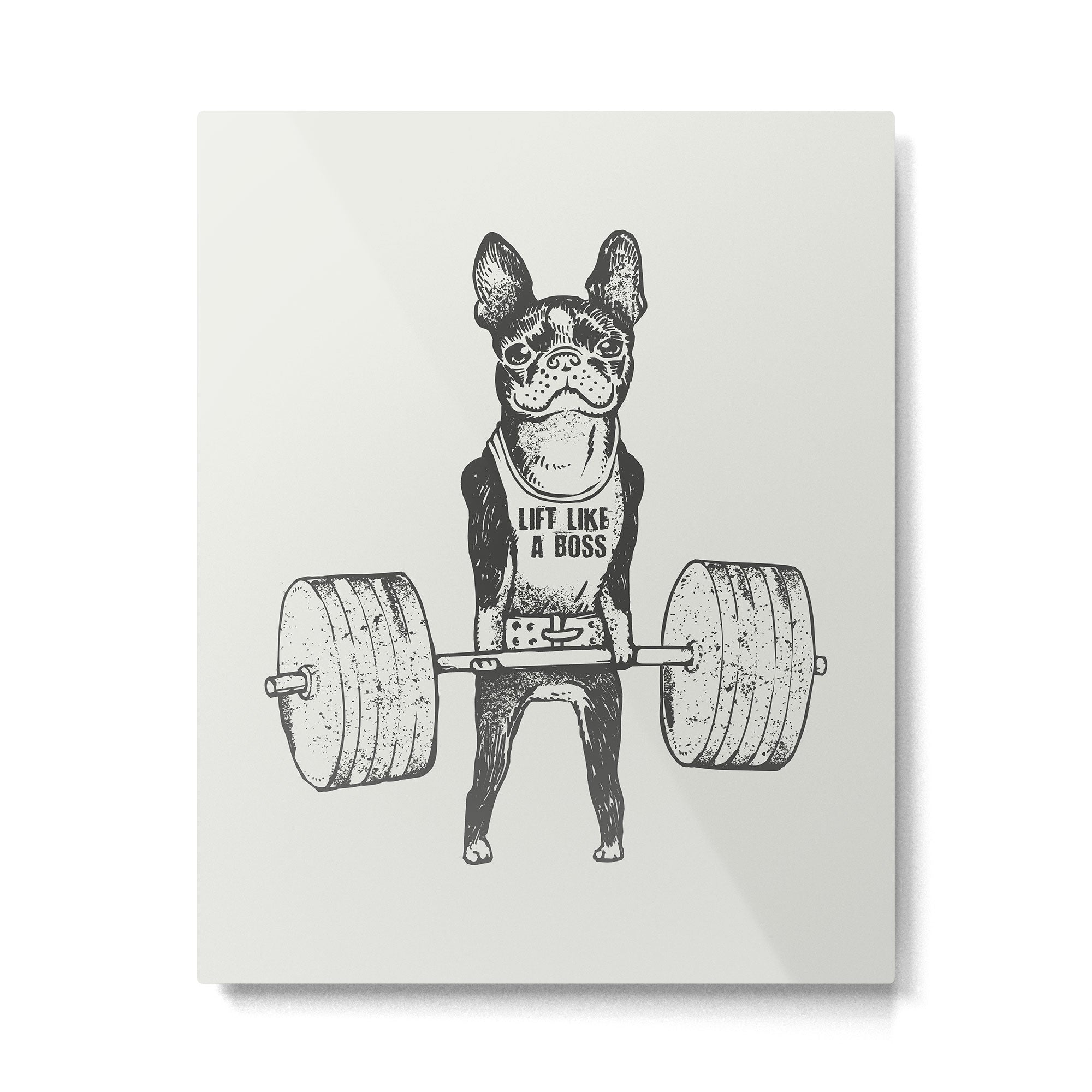 Boston Terrier Lift Metal Print | TeksDecor