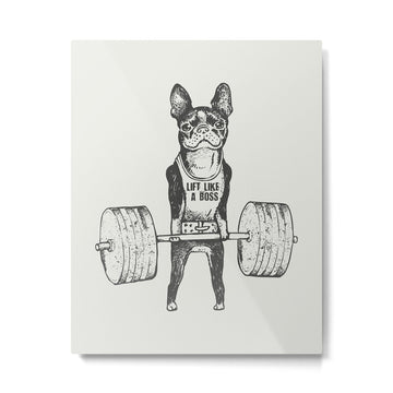 Boston Terrier Lift Metal Print | TeksDecor