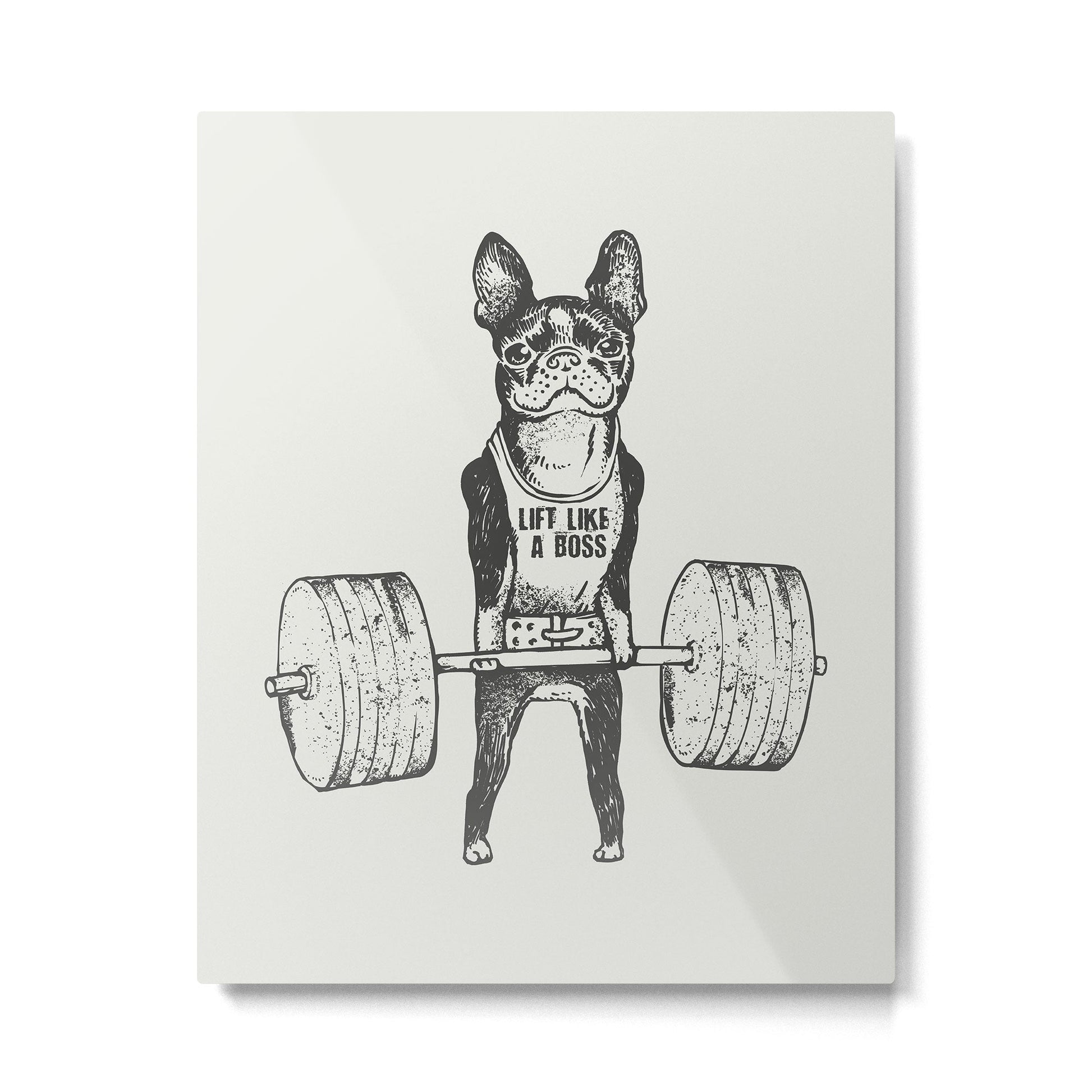 Boston Terrier Lift Metal Print | TeksDecor