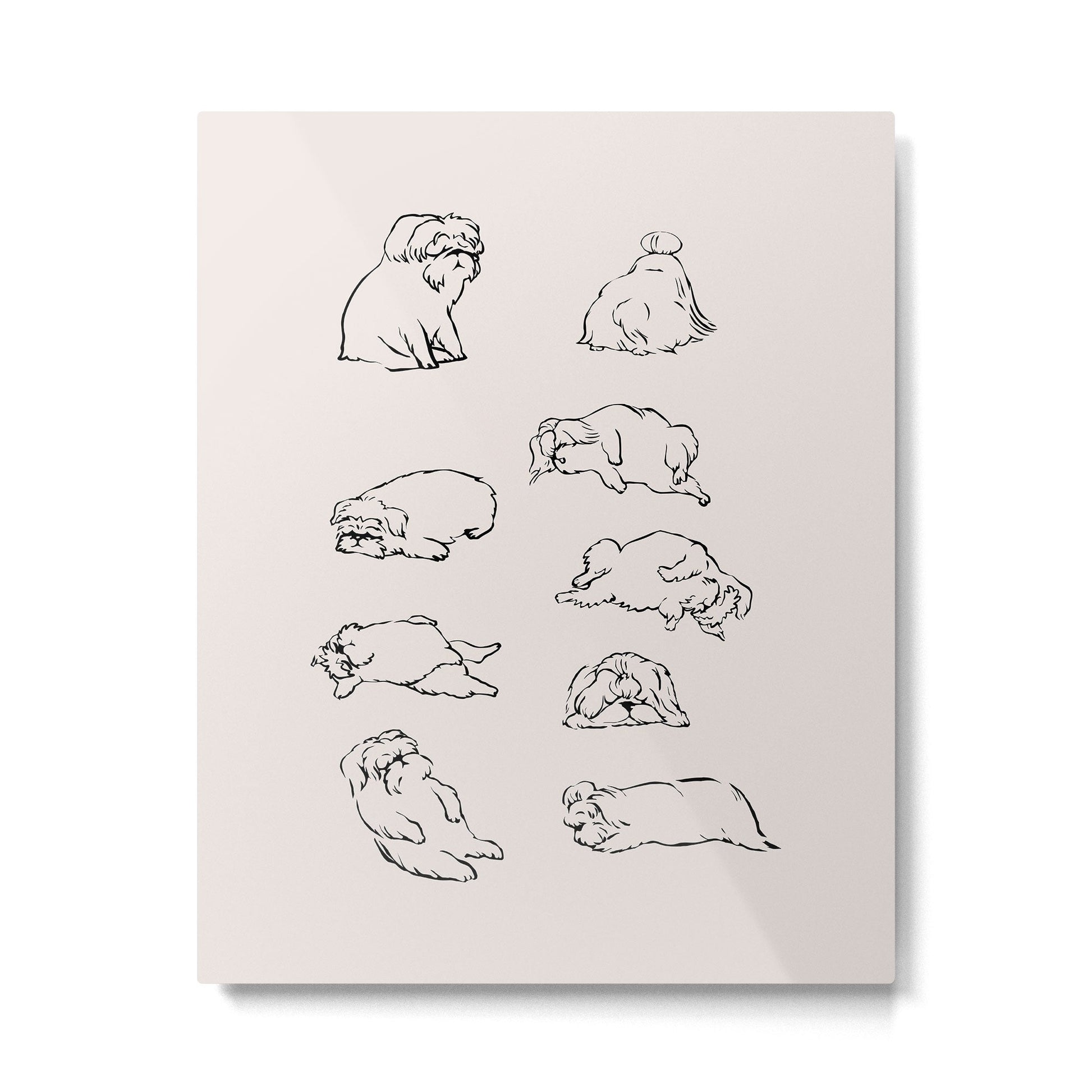 More Sleep Shih Tzu Metal Print | TeksDecor