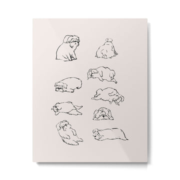 More Sleep Shih Tzu Metal Print | TeksDecor