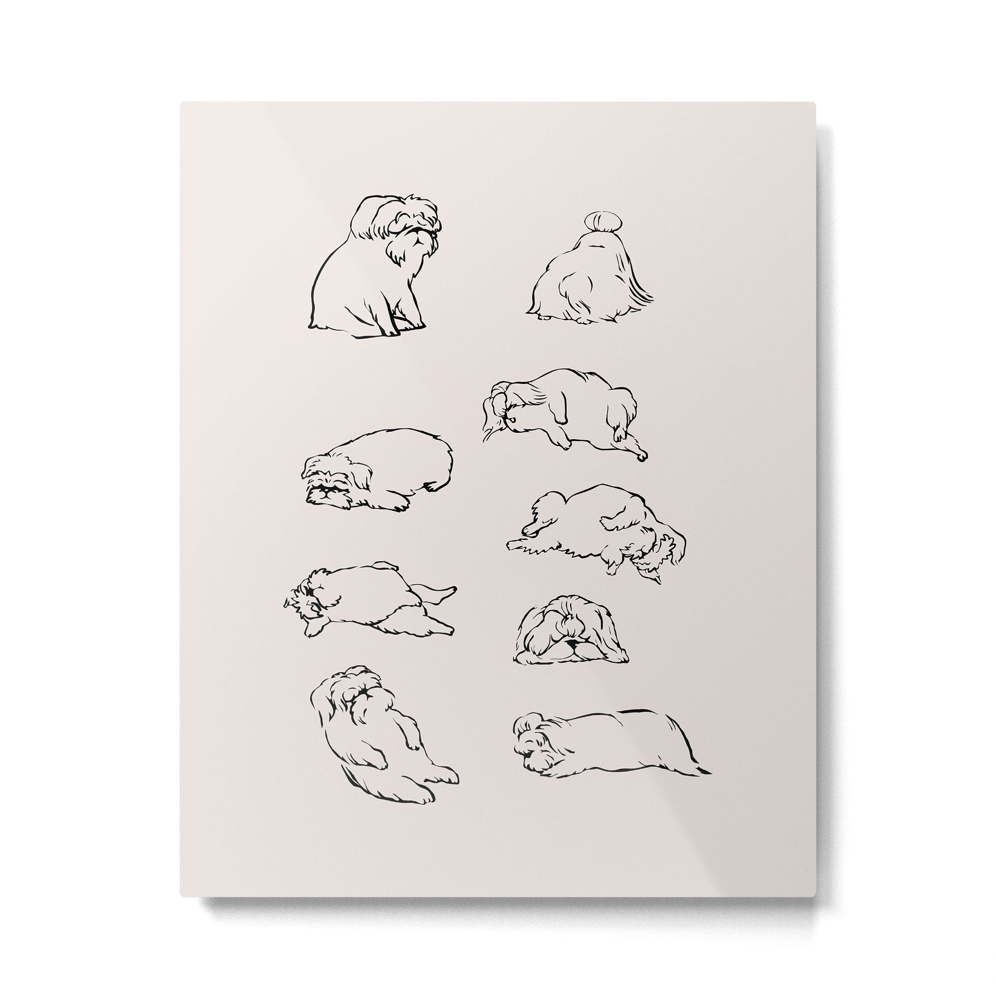 More Sleep Shih Tzu Metal Print | TeksDecor