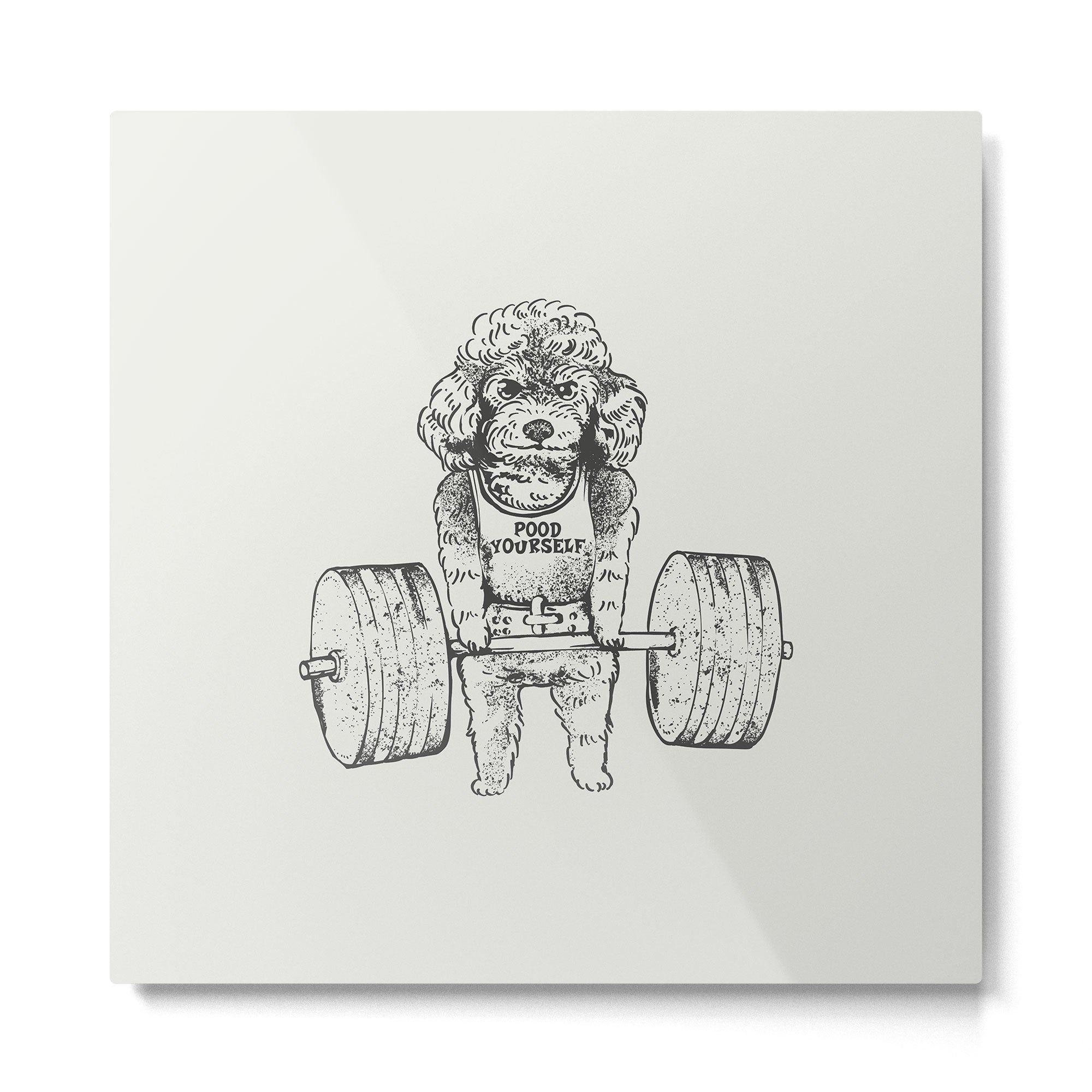 Poodle Lift Metal Print | TeksDecor
