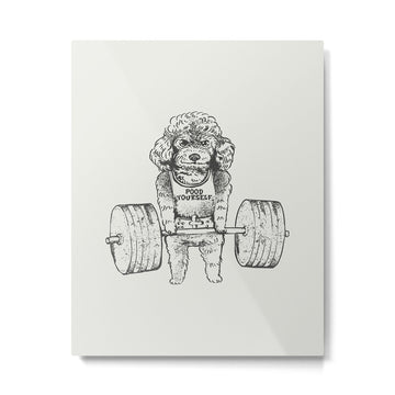 Poodle Lift Metal Print | TeksDecor