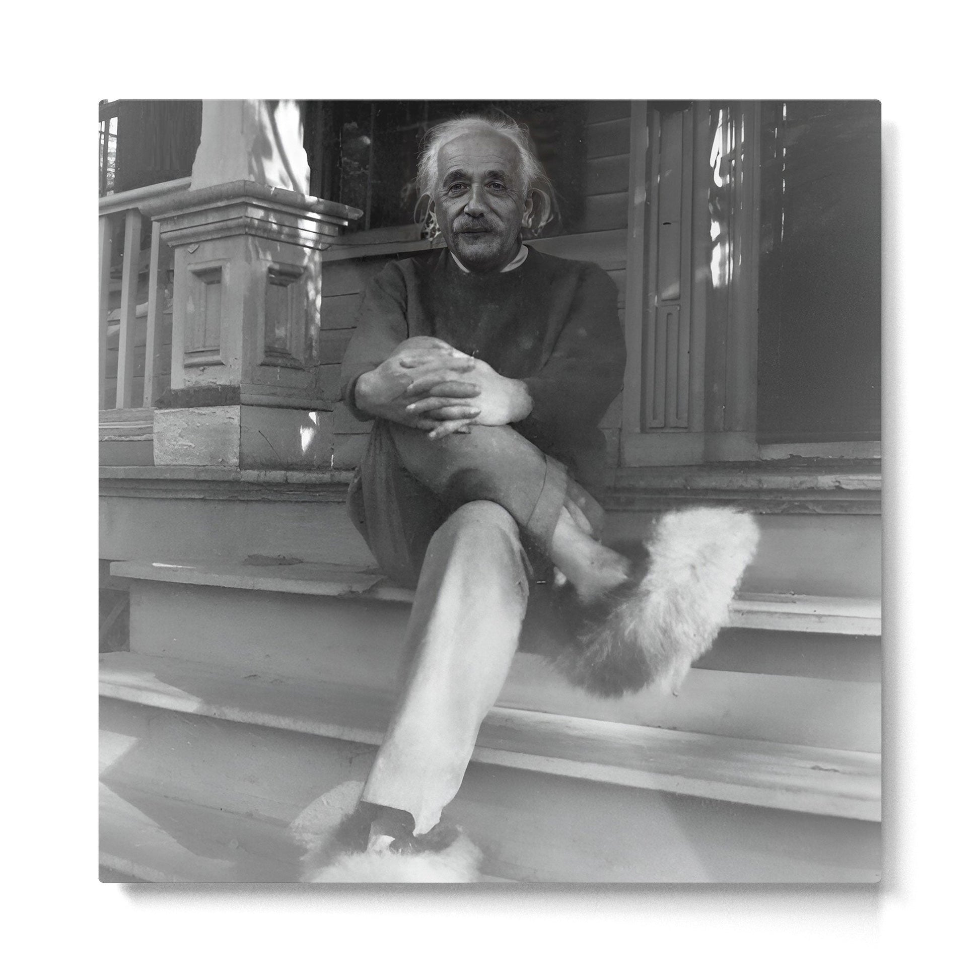 Funny Einstein in Fuzzy Slippers Classic Black and White Satirical Photography - Photographs Metal Print | TeksDecor