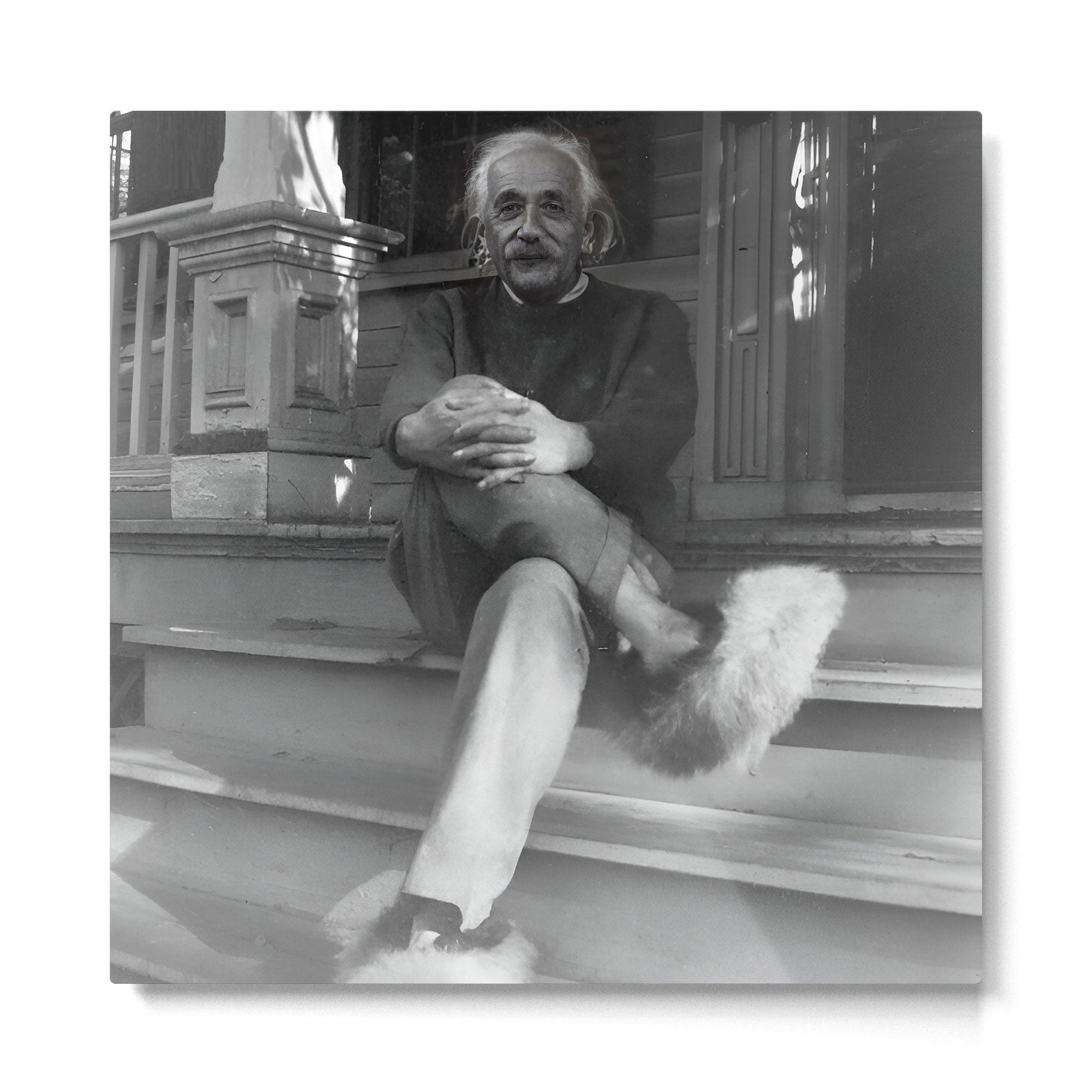 Funny Einstein in Fuzzy Slippers Classic Black and White Satirical Photography - Photographs Metal Print | TeksDecor
