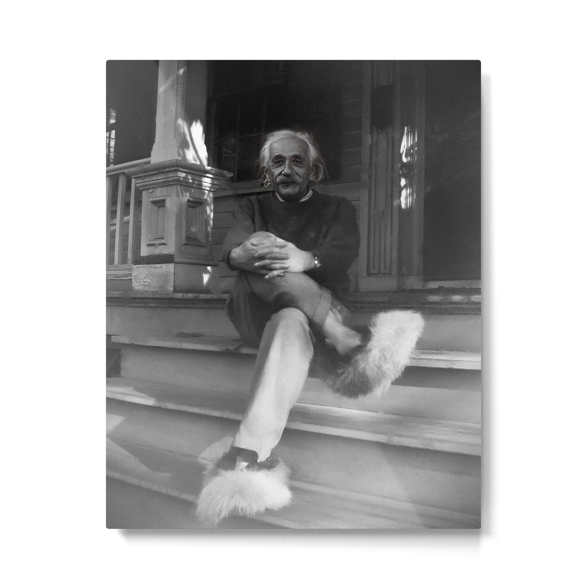 Funny Einstein in Fuzzy Slippers Classic Black and White Satirical Photography - Photographs Metal Print | TeksDecor