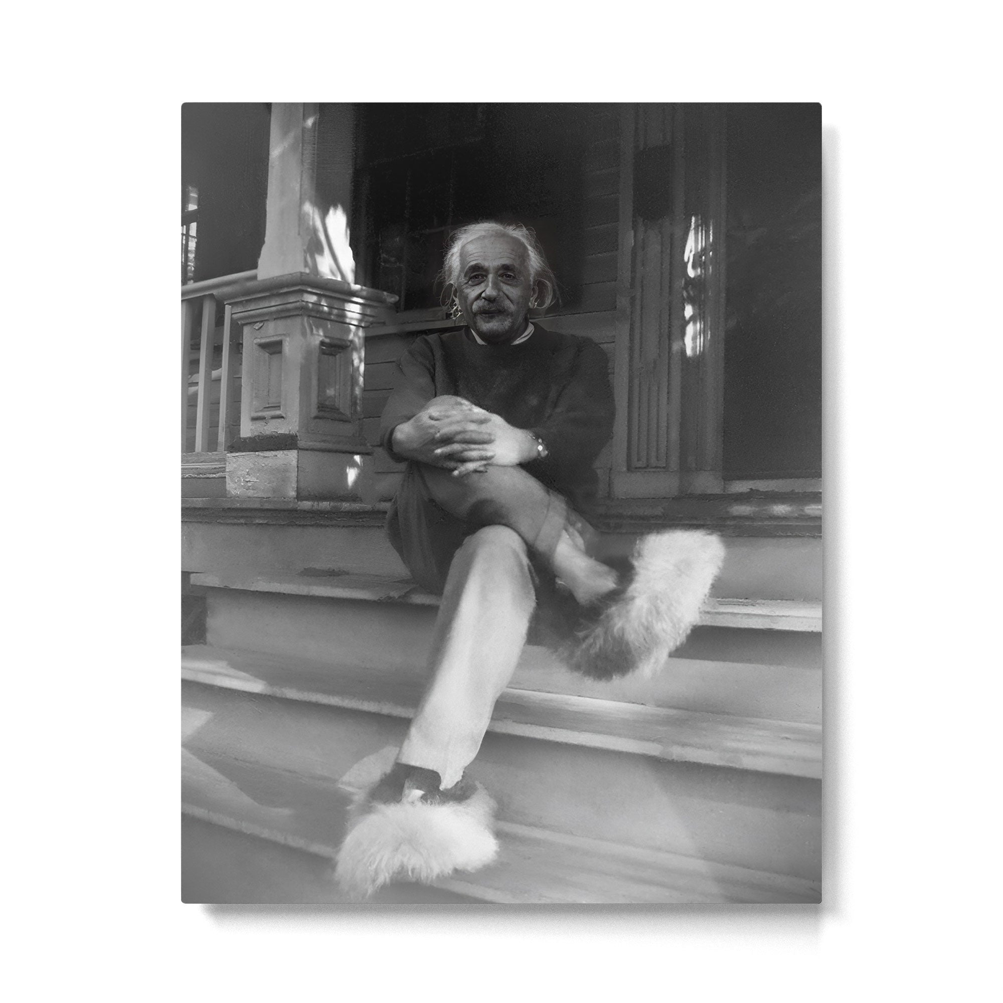 Funny Einstein in Fuzzy Slippers Classic Black and White Satirical Photography - Photographs Metal Print | TeksDecor
