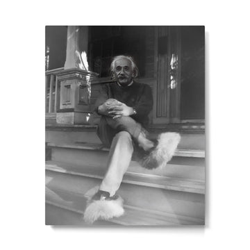 Funny Einstein in Fuzzy Slippers Classic Black and White Satirical Photography - Photographs Metal Print | TeksDecor