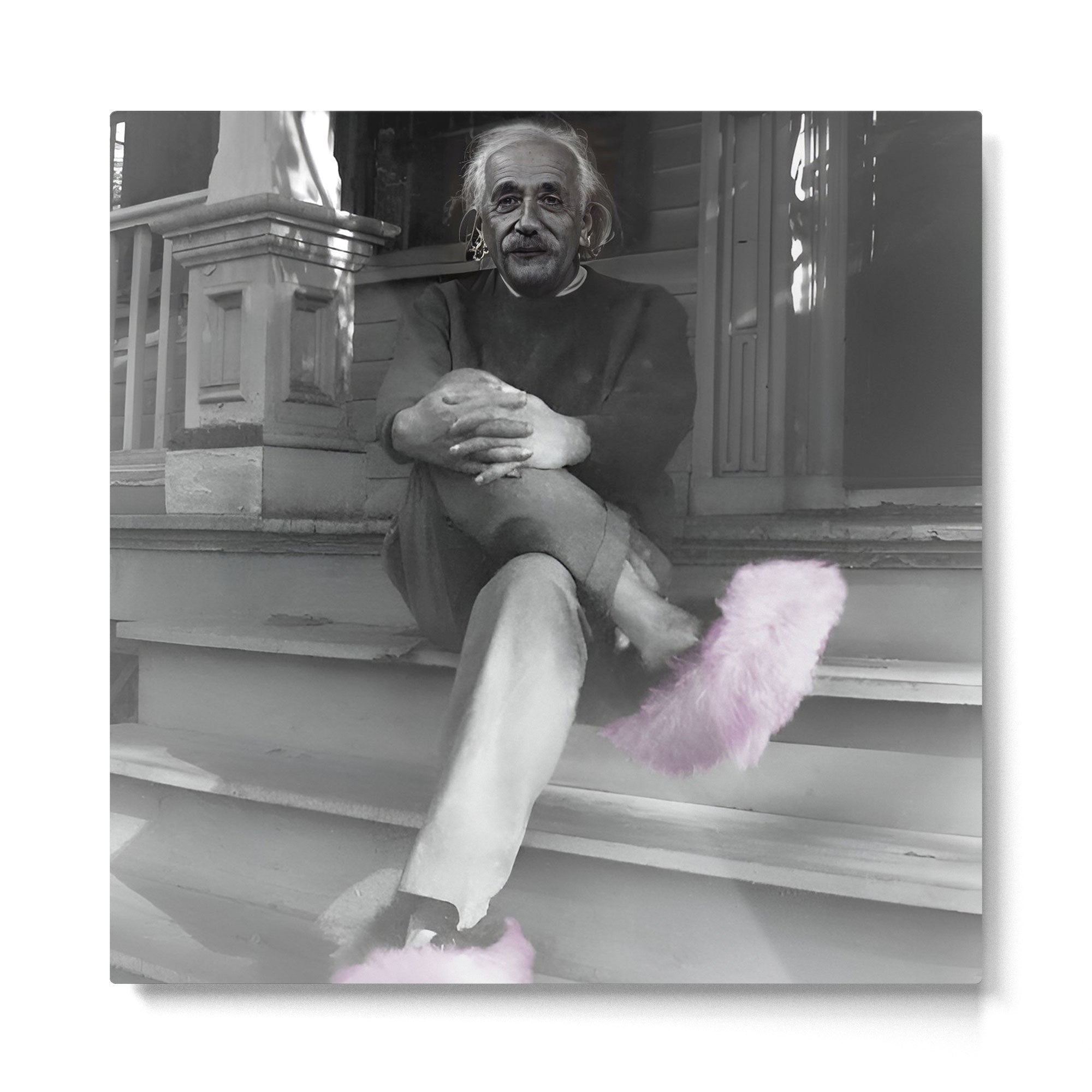 Satirical Einstein in Fuzzy Pink Slippers Classic E = mc? Black and White Satirical Photography  Metal Print | TeksDecor