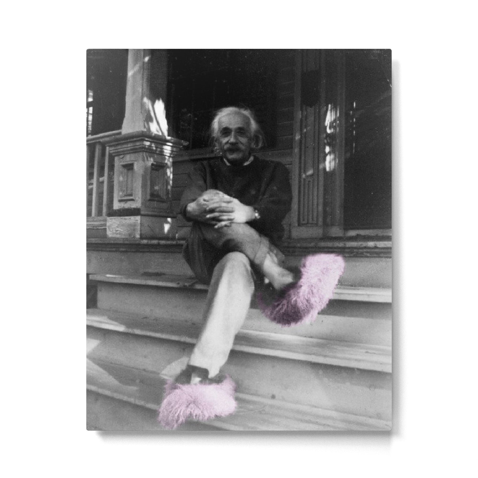 Satirical Einstein in Fuzzy Pink Slippers Classic E = mc? Black and White Satirical Photography  Metal Print | TeksDecor