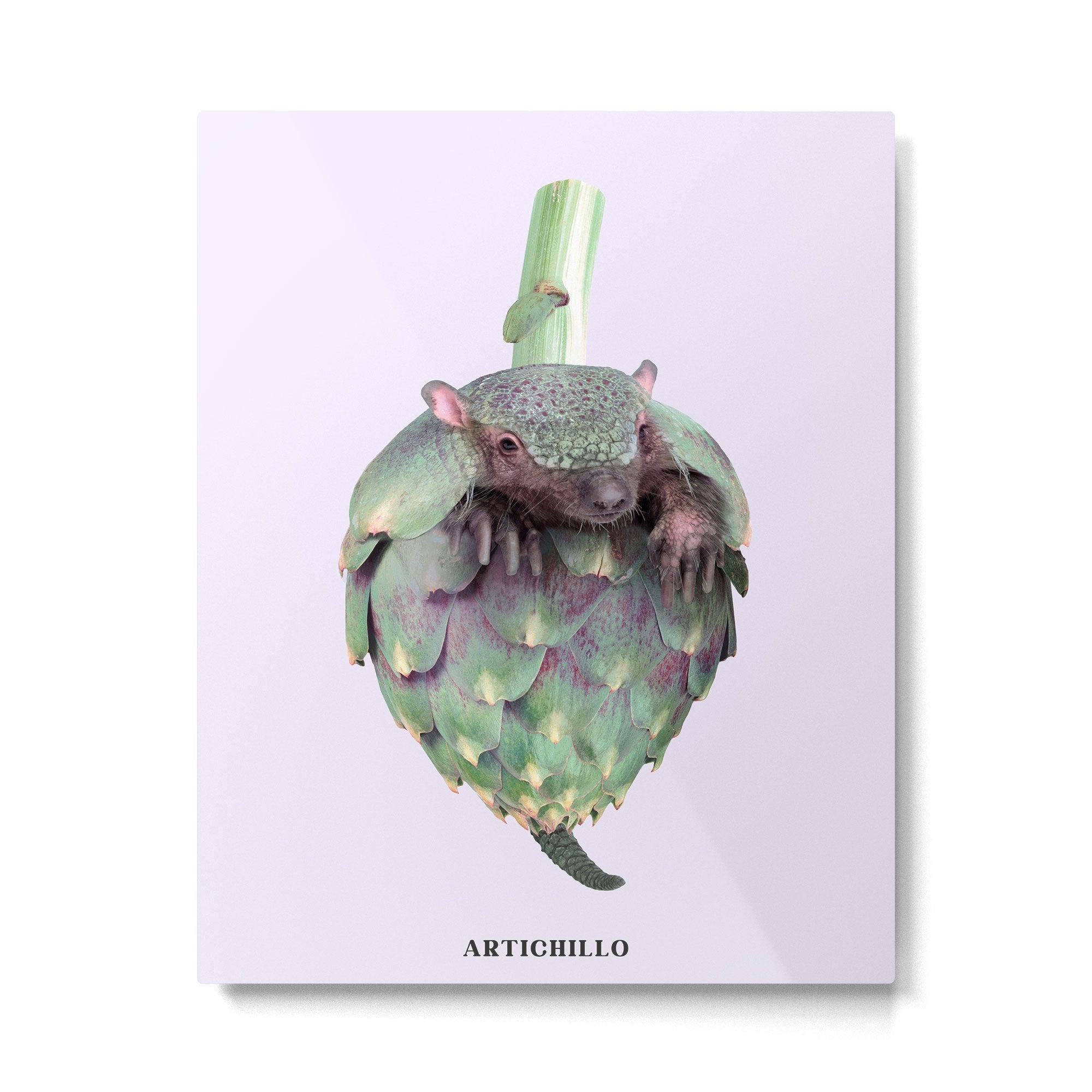 Artichillo Metal Print | TeksDecor