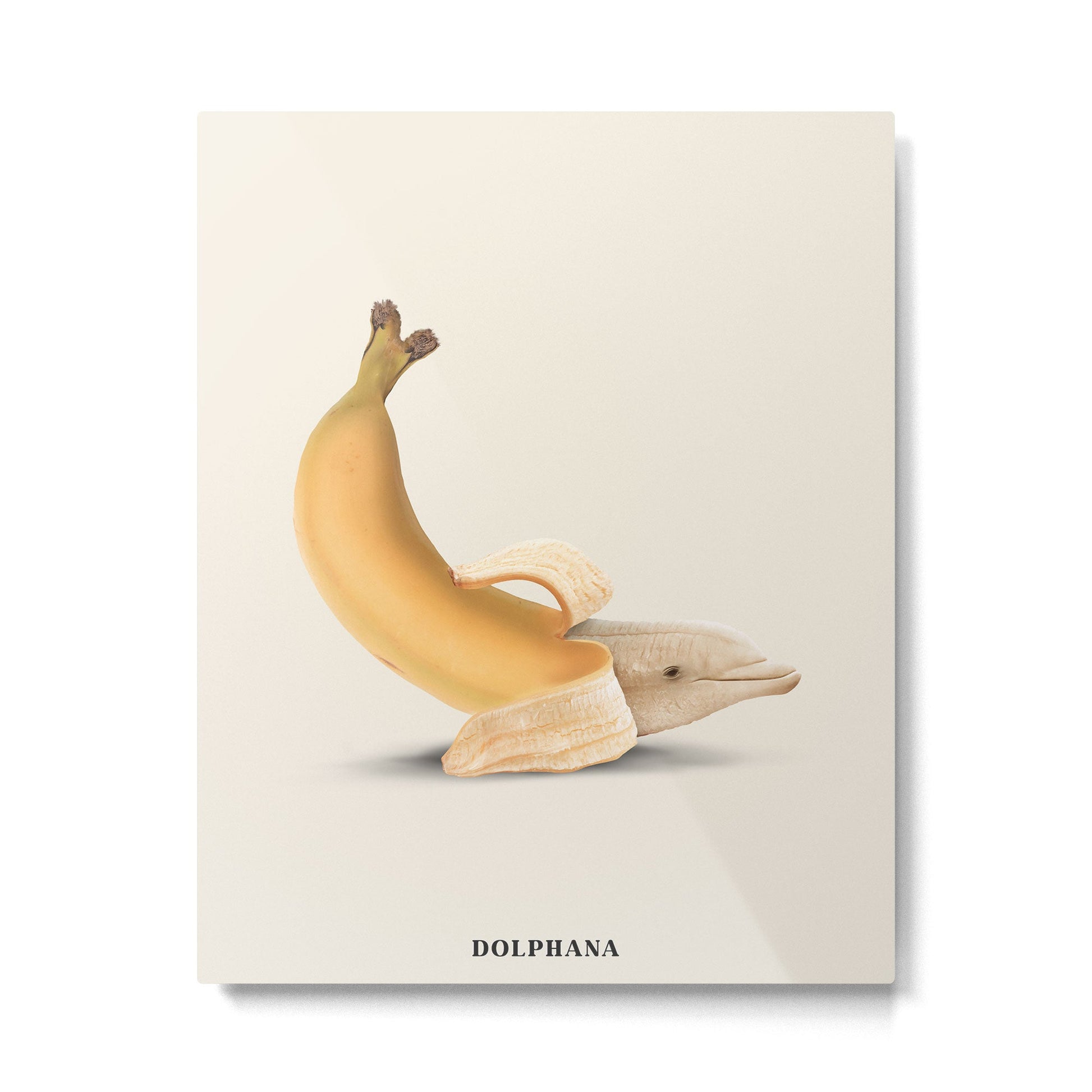 Dolphana Metal Print | TeksDecor