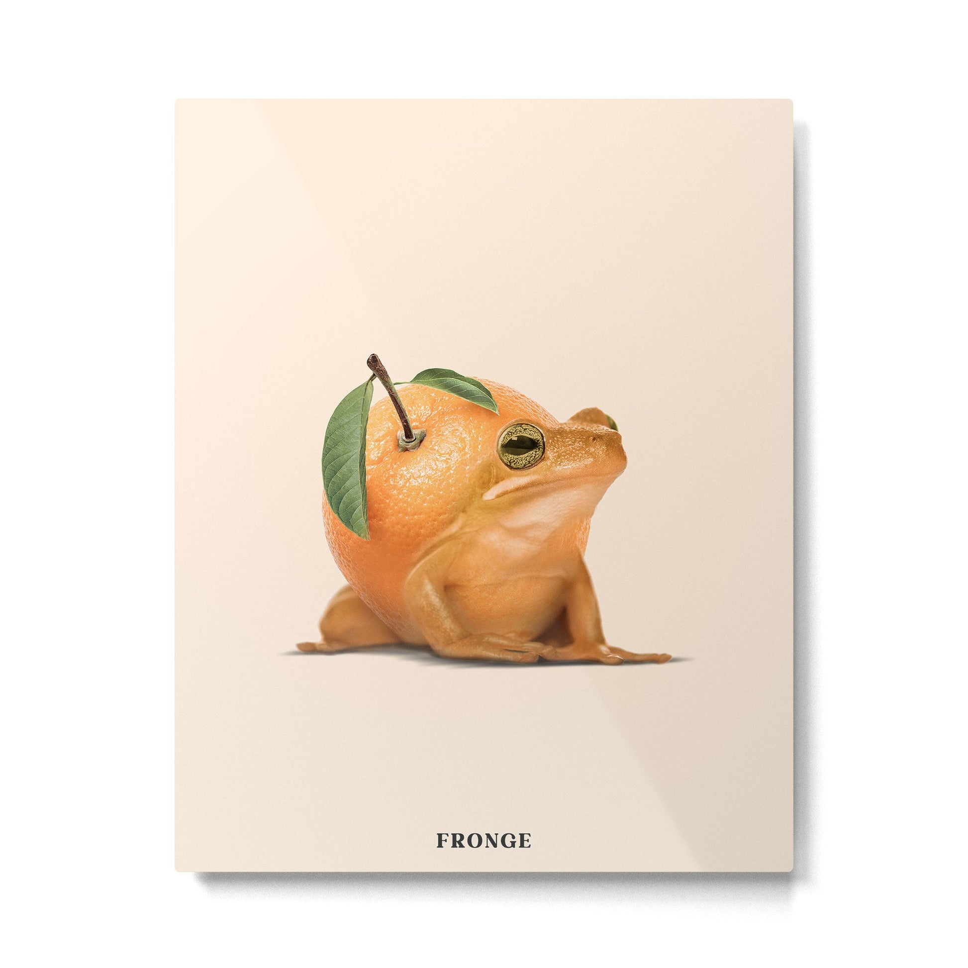 Fronge Metal Print | TeksDecor