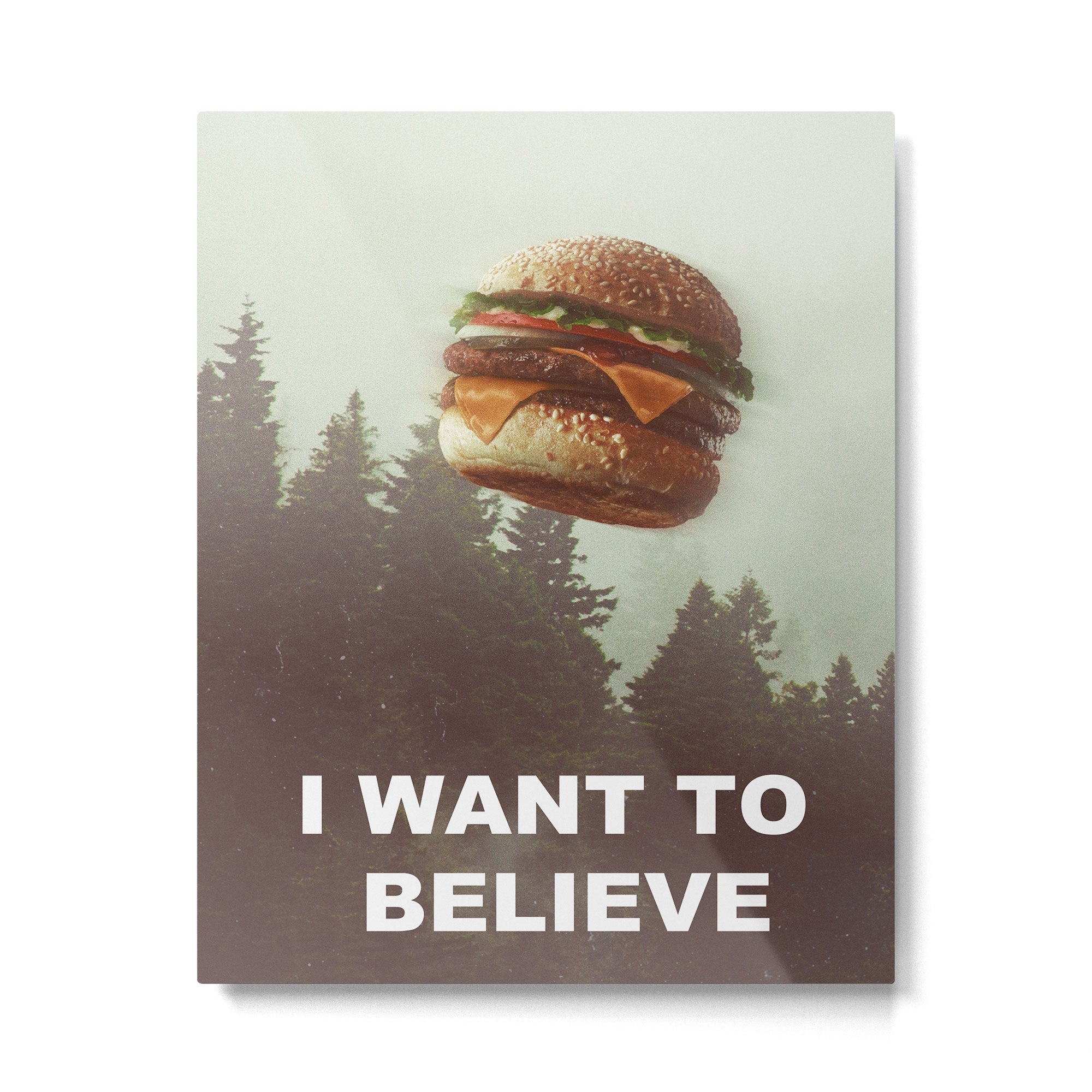 I Want To Believe Metal Print | TeksDecor