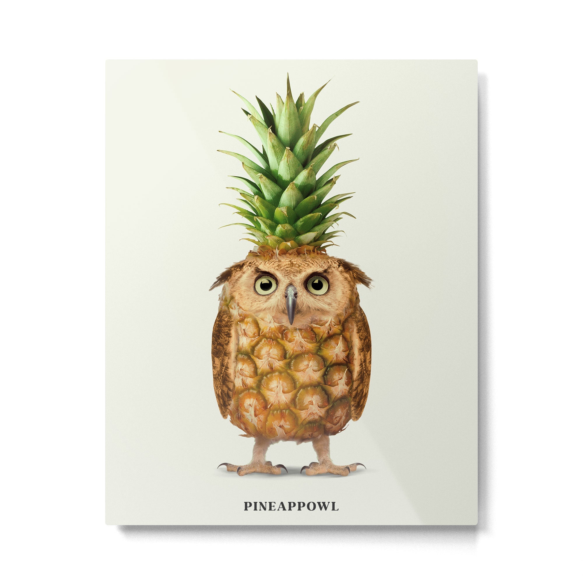 Pineappowl Metal Print | TeksDecor