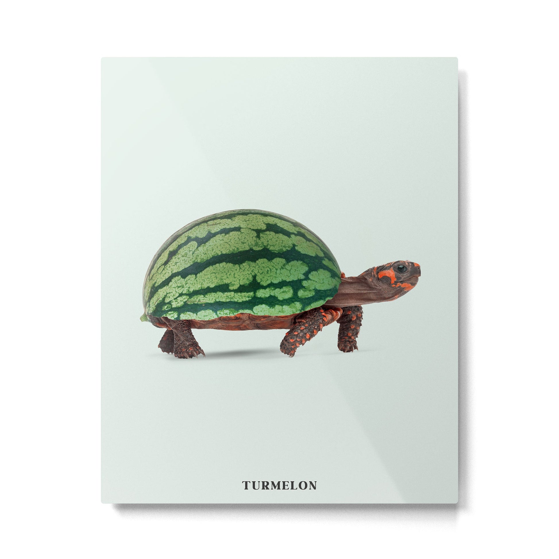 Turmelon Metal Print | TeksDecor
