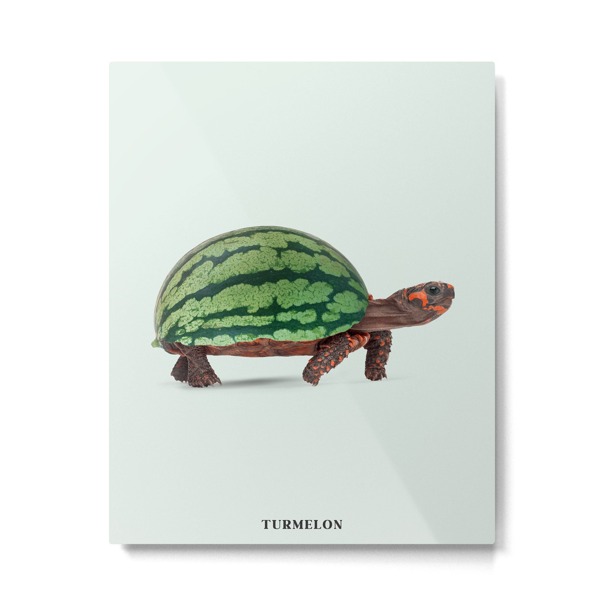 Turmelon Metal Print | TeksDecor
