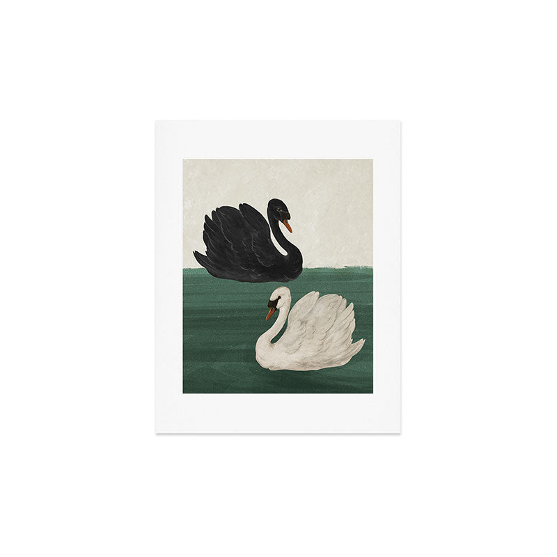 Black Swan White Swan Art Print