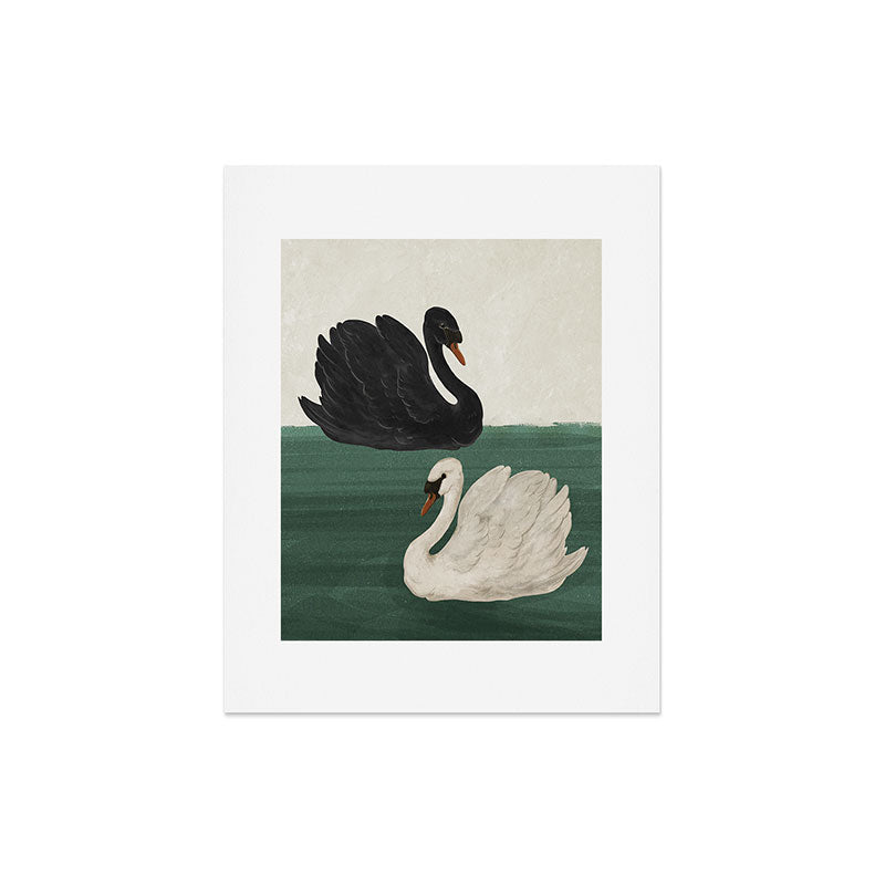 Black Swan White Swan Art Print