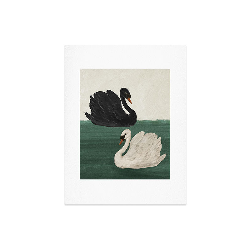 Black Swan White Swan Art Print
