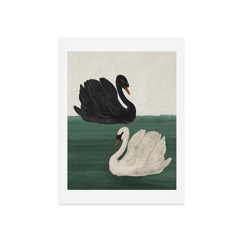 Black Swan White Swan Art Print