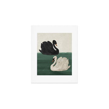 Black Swan White Swan Art Print