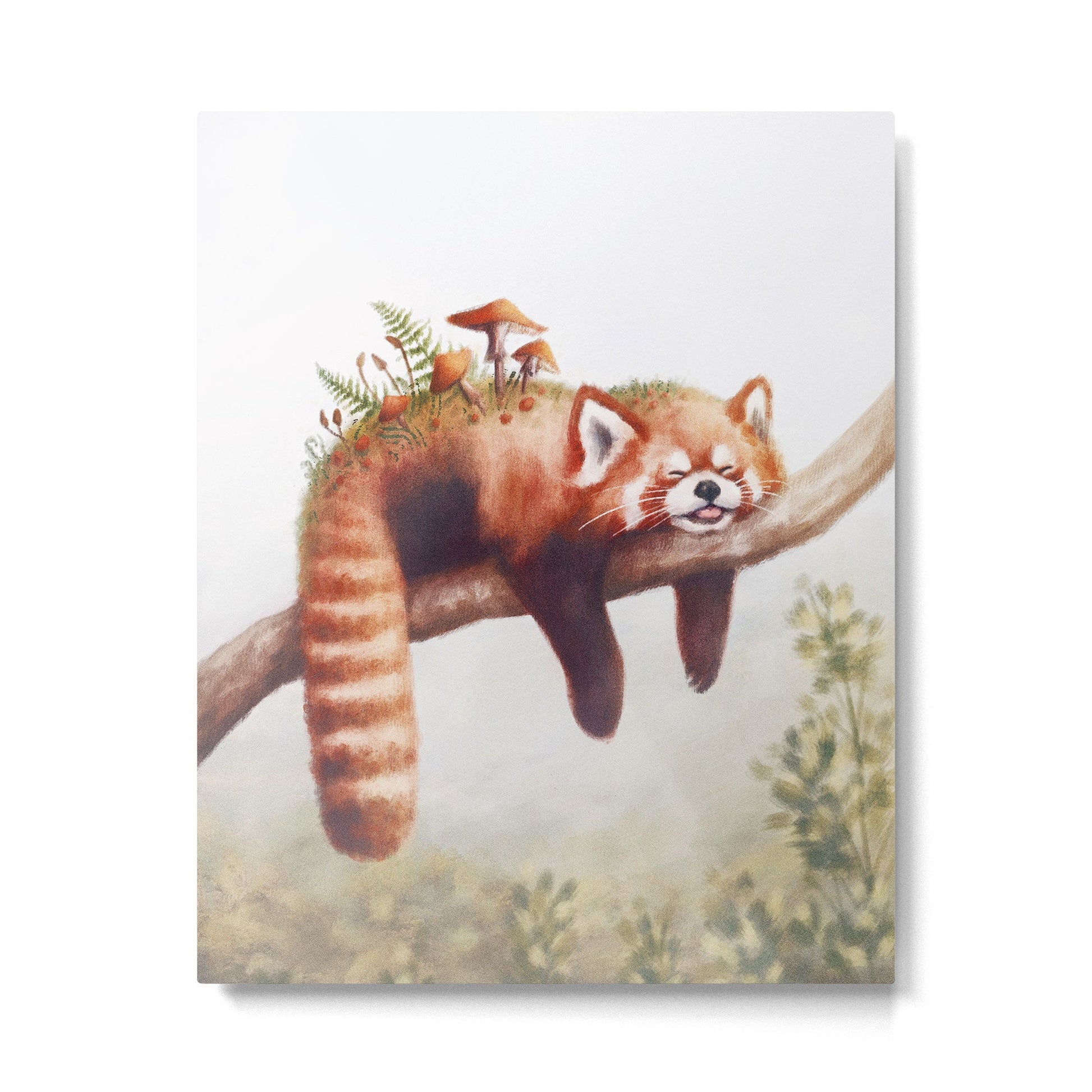 Sleepy Red Panda Metal Print | TeksDecor