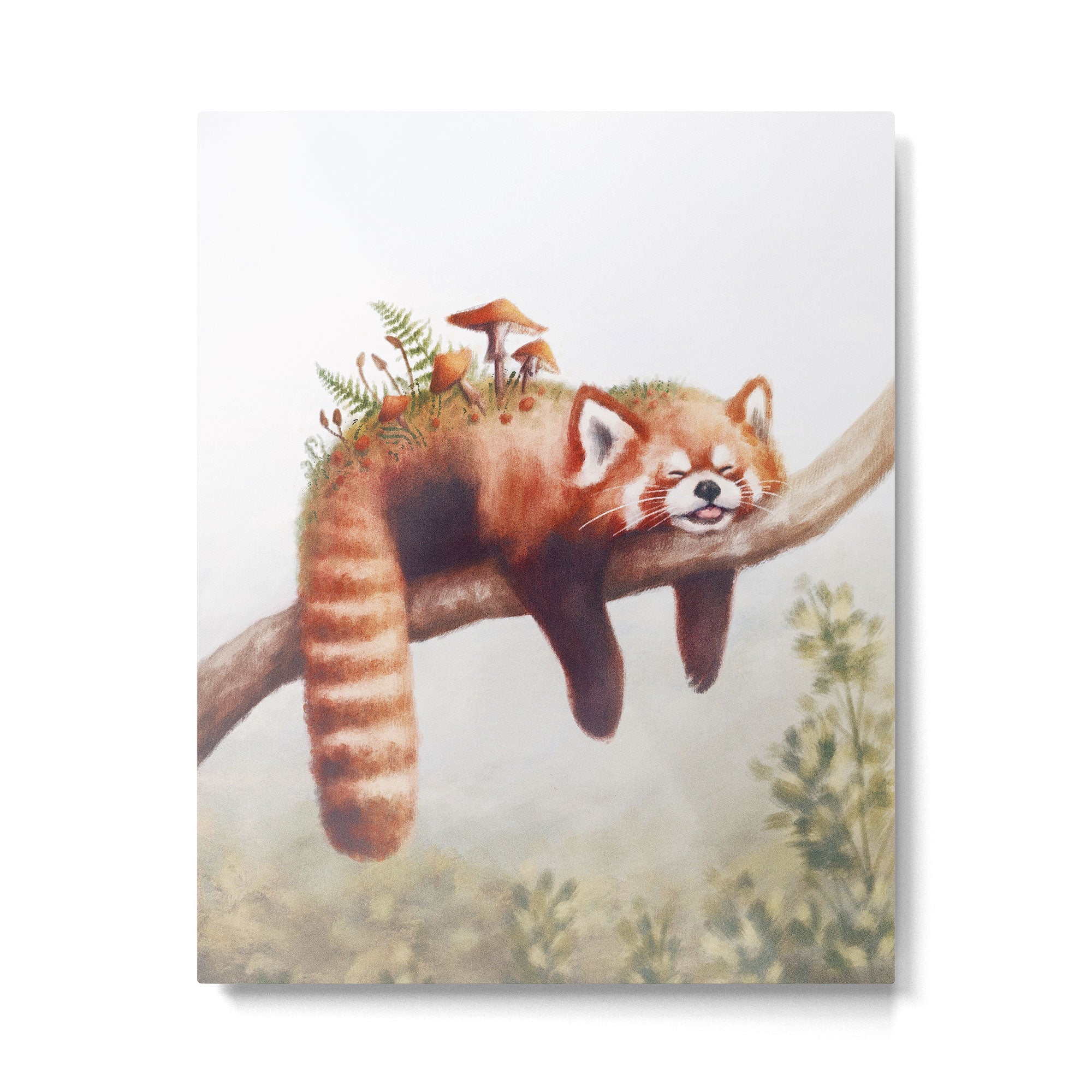 Sleepy Red Panda Metal Print | TeksDecor