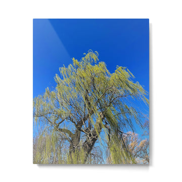 Among the Trees Metal Print | TeksDecor