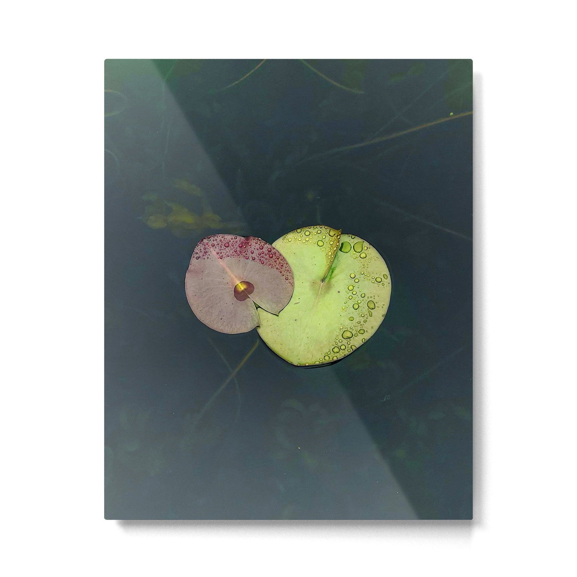 Kinship Metal Print | TeksDecor