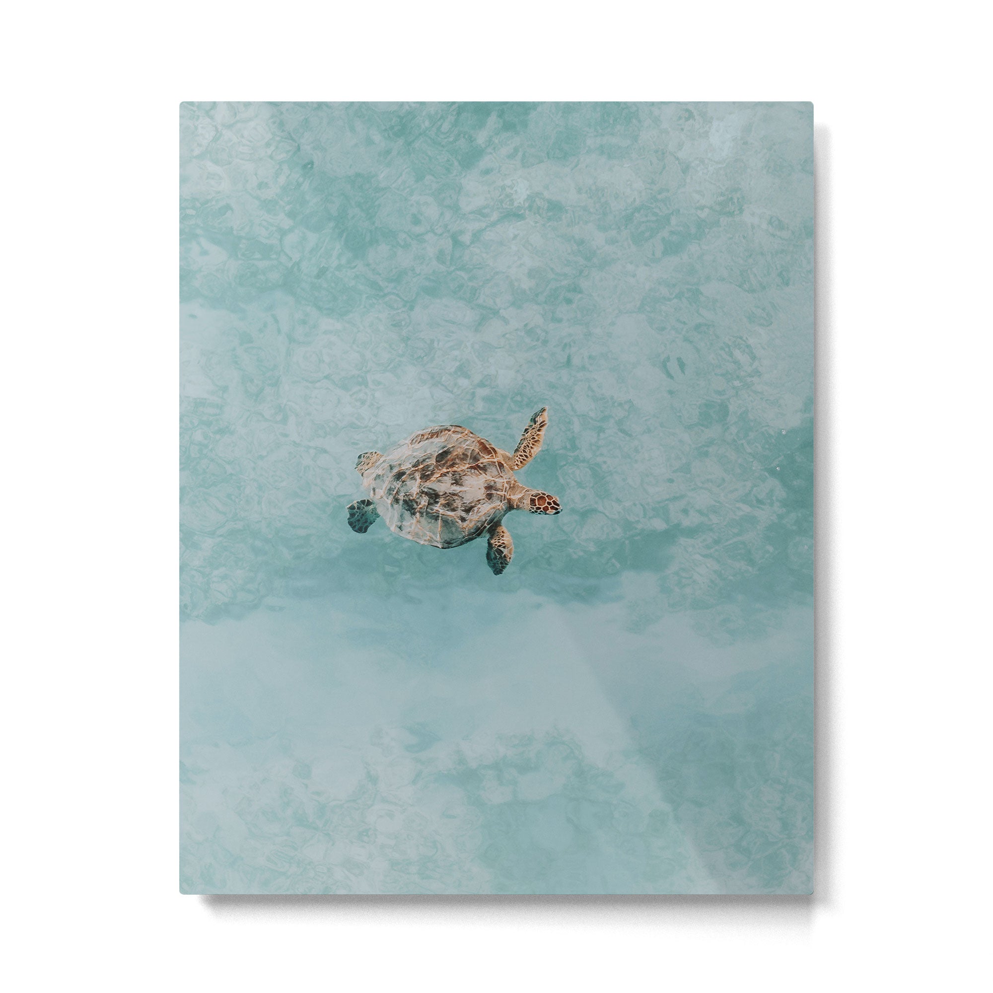 sea turtle vi Metal Print | TeksDecor