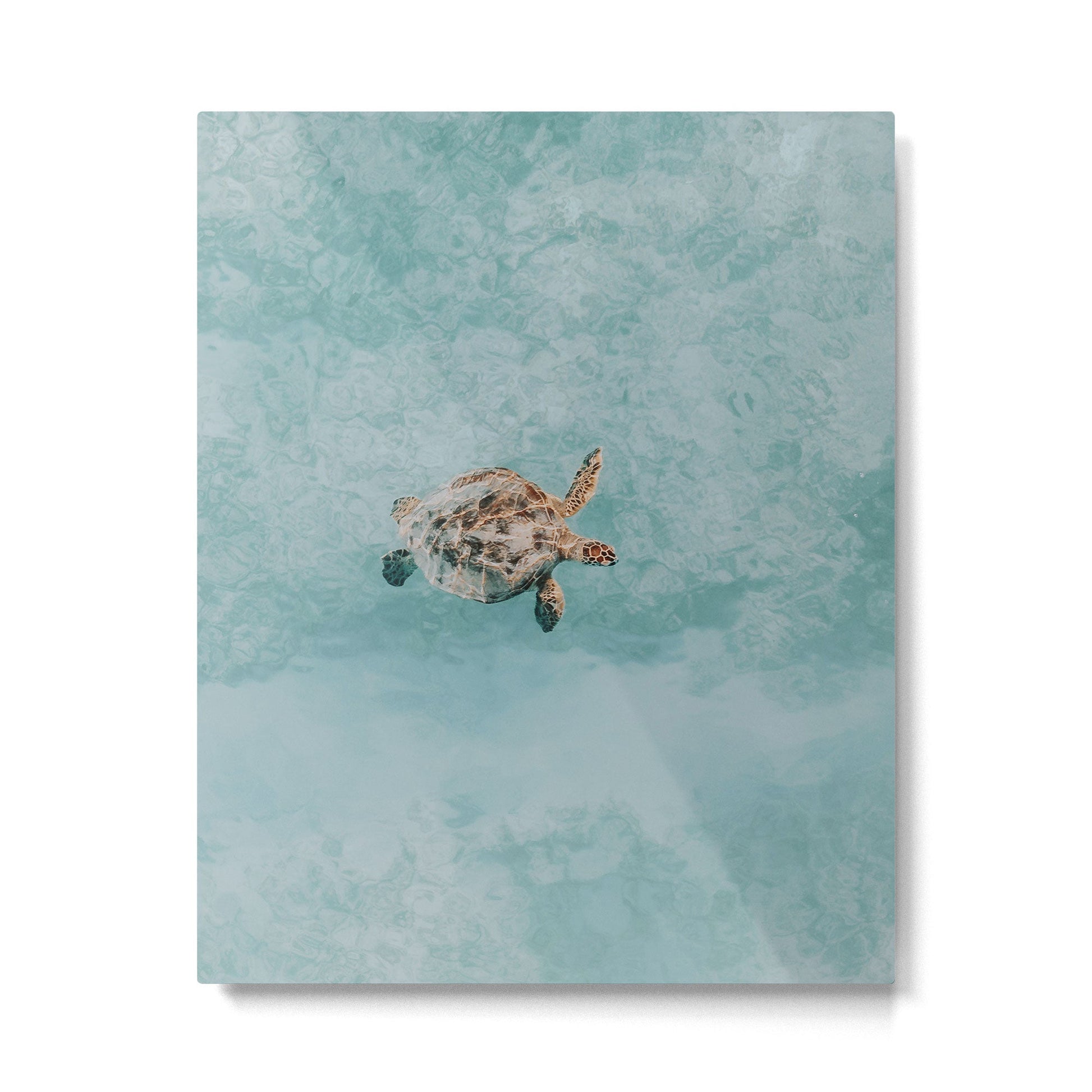 sea turtle vi Metal Print | TeksDecor