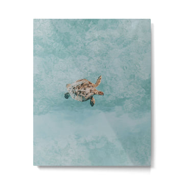 sea turtle vi Metal Print | TeksDecor