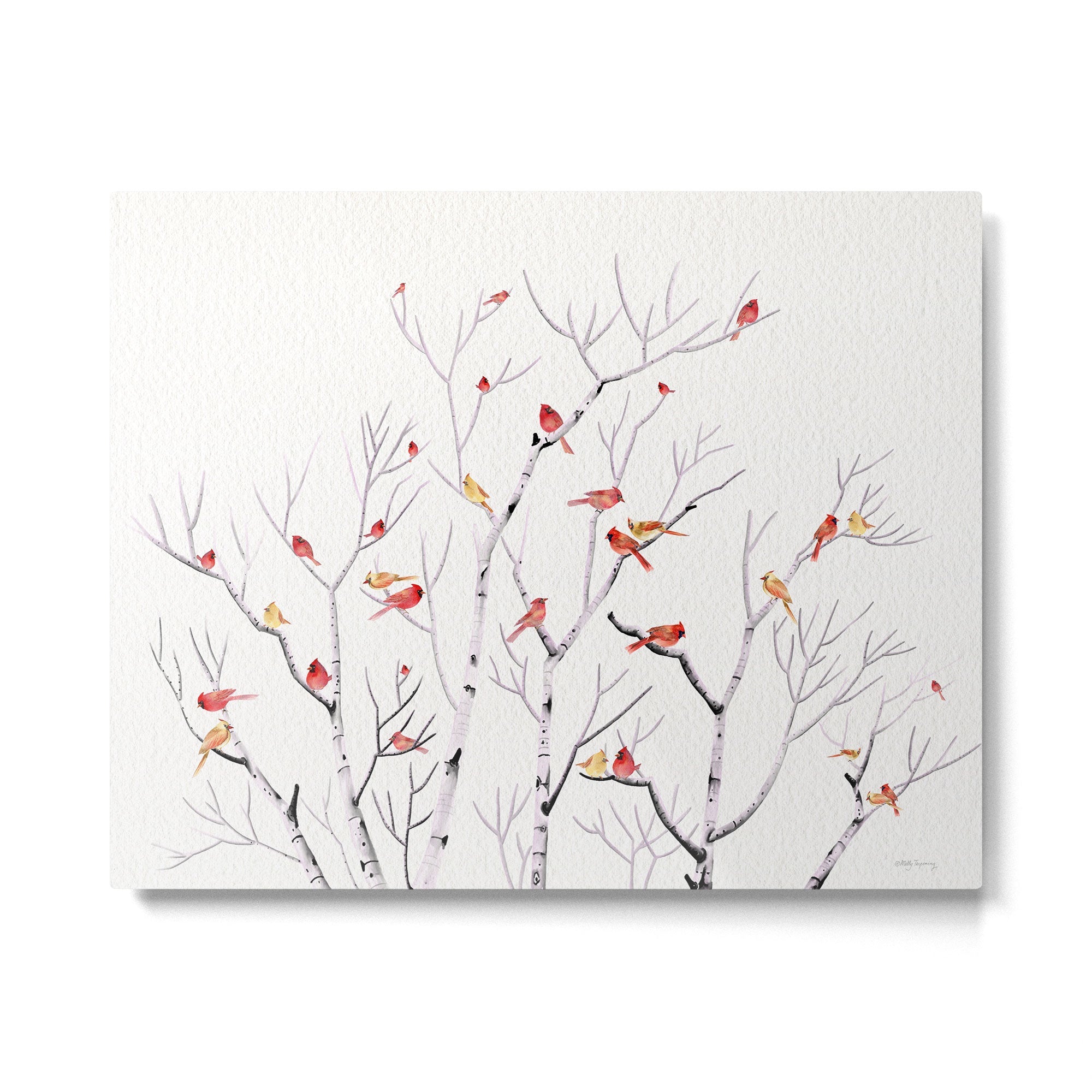 Birch Trees and Cardinal 2  Metal Print | TeksDecor