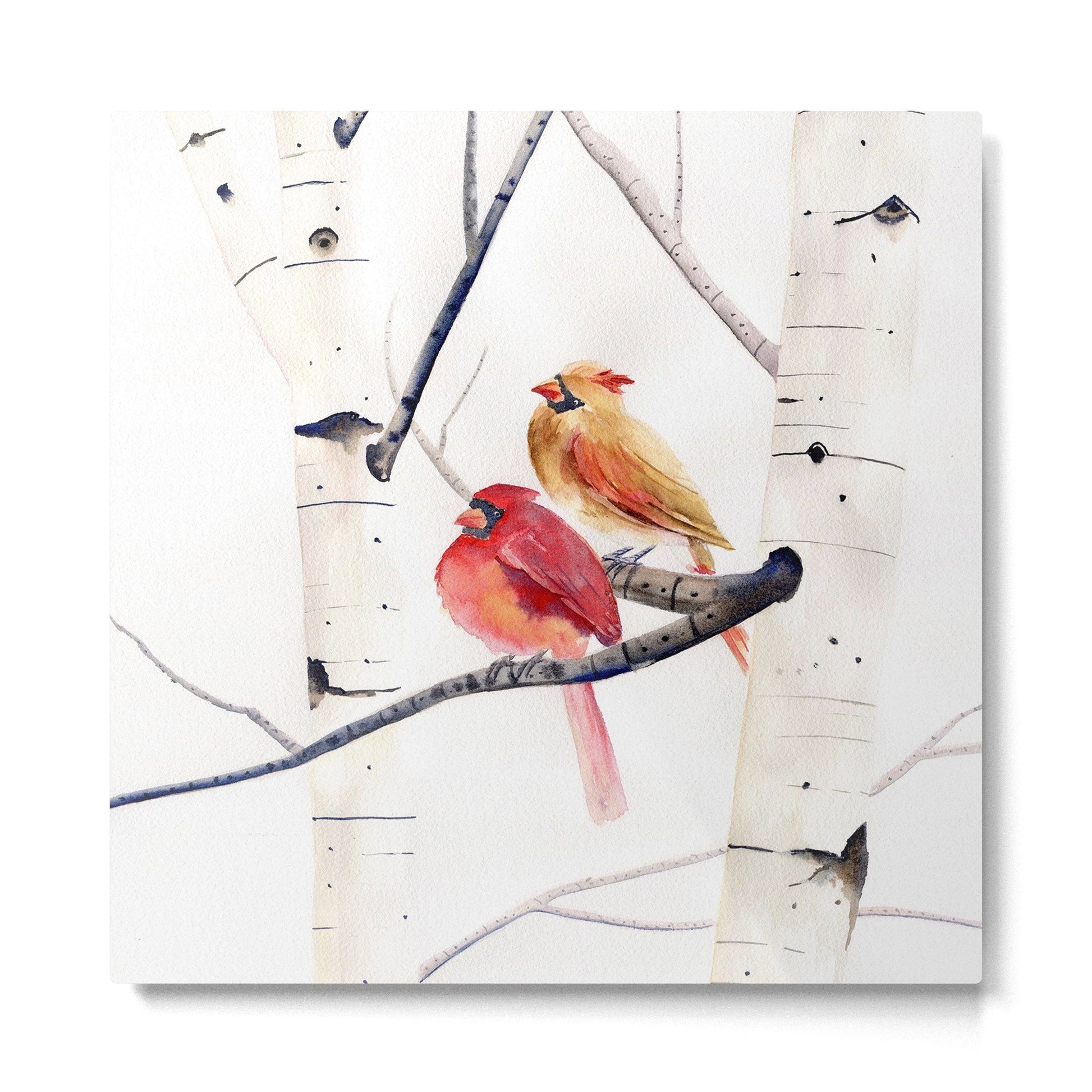 Cardinals and Birch Trees  Metal Print | TeksDecor