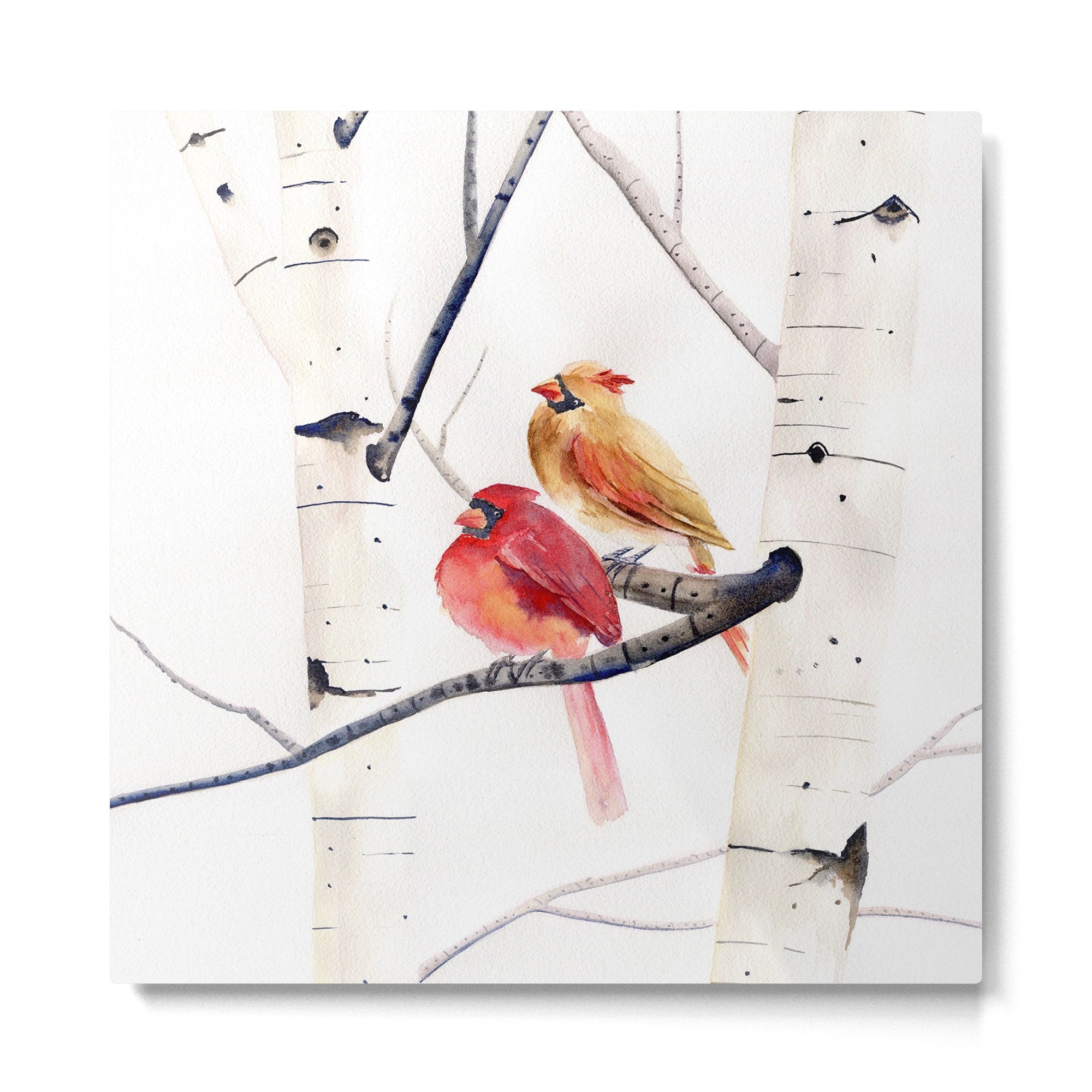 Cardinals and Birch Trees  Metal Print | TeksDecor