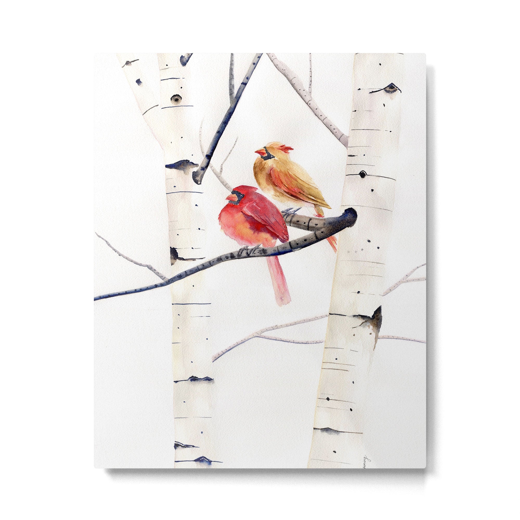 Cardinals and Birch Trees  Metal Print | TeksDecor