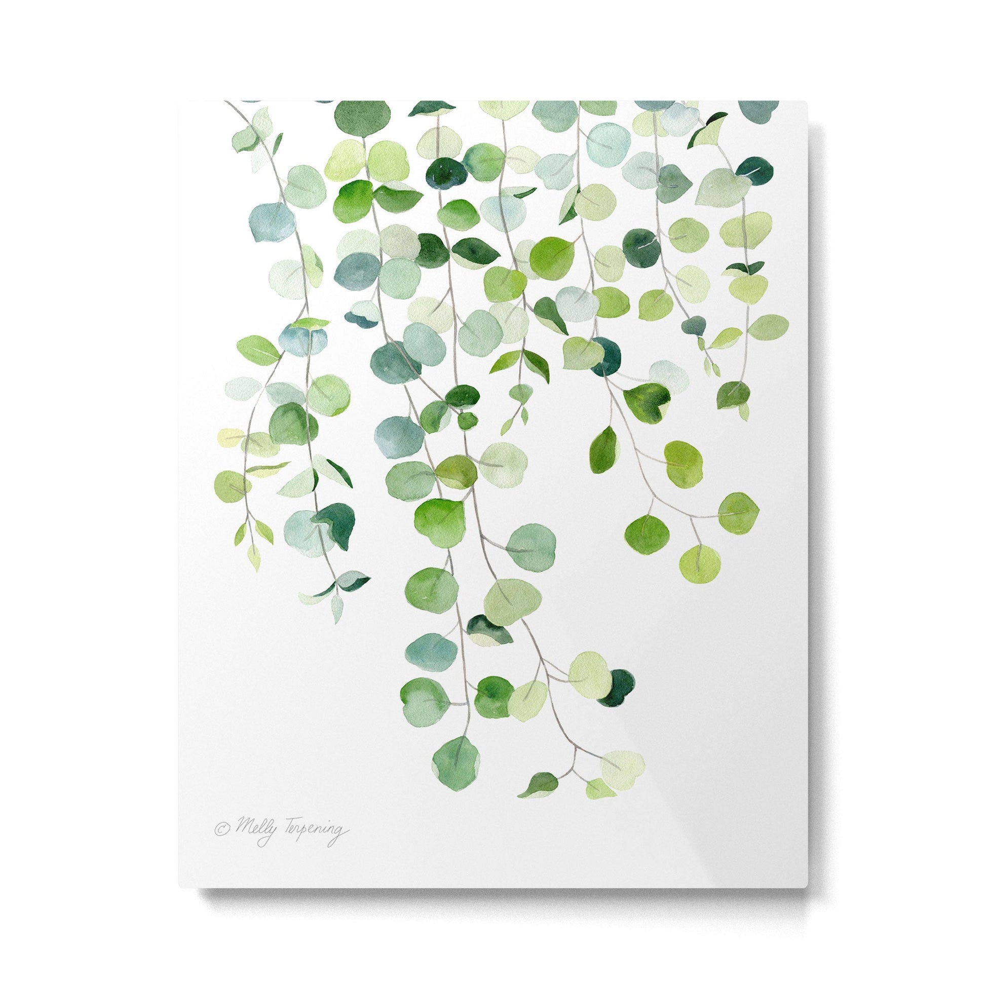 Eucalyptus Watercolor 6 Metal Print | TeksDecor