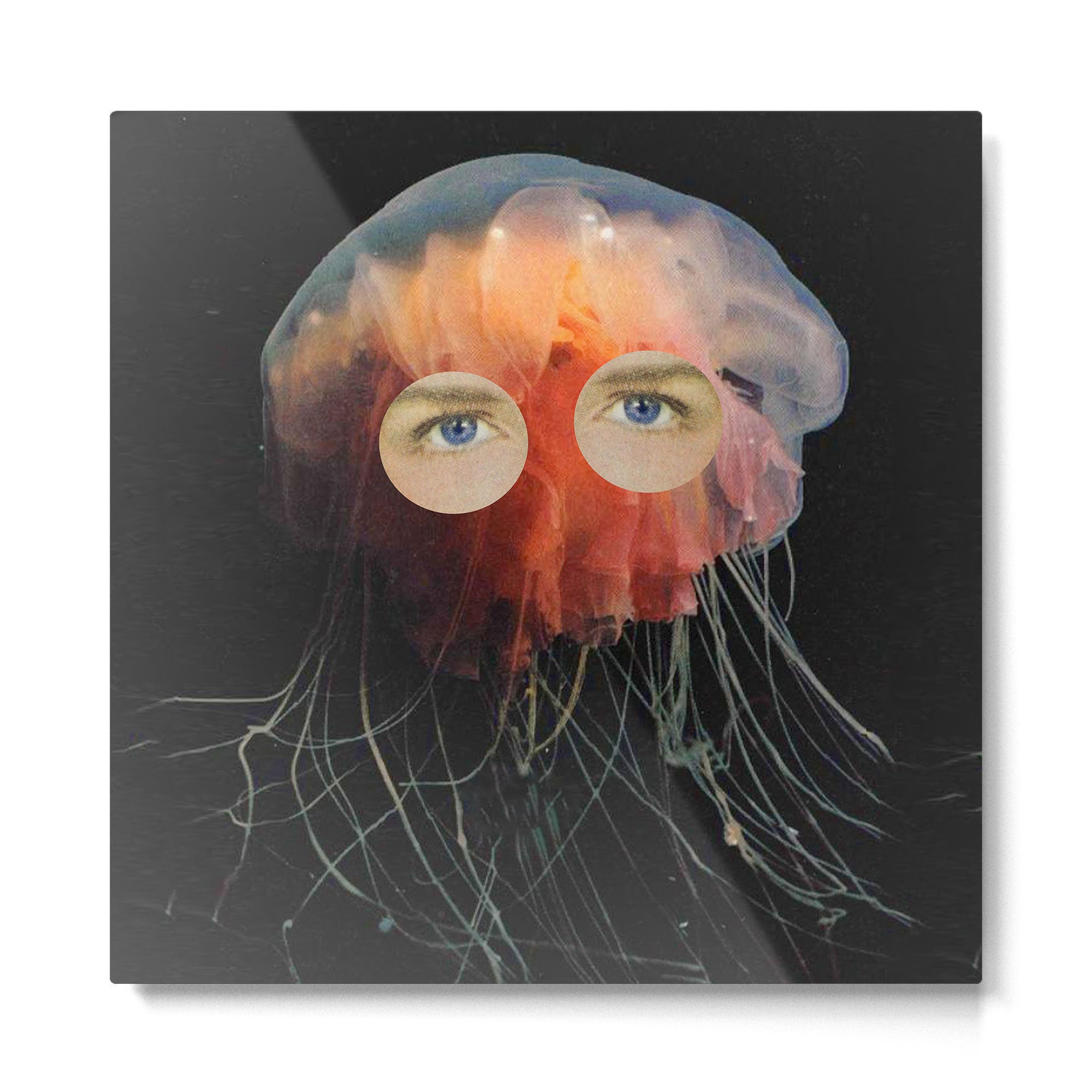 A (very) Jelly Fish Metal Print | TeksDecor