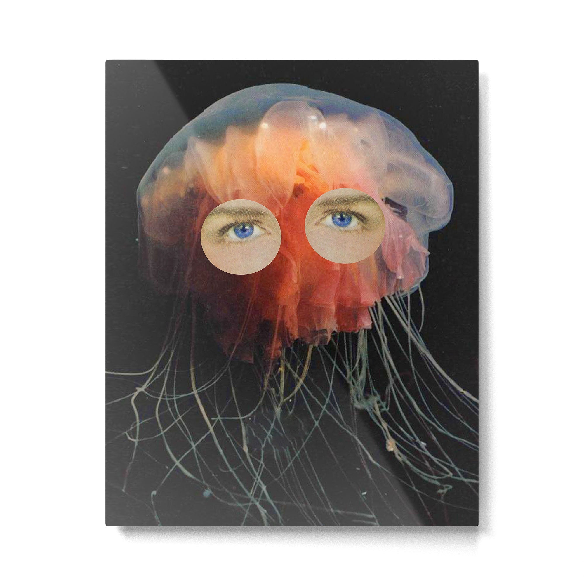 A (very) Jelly Fish Metal Print | TeksDecor
