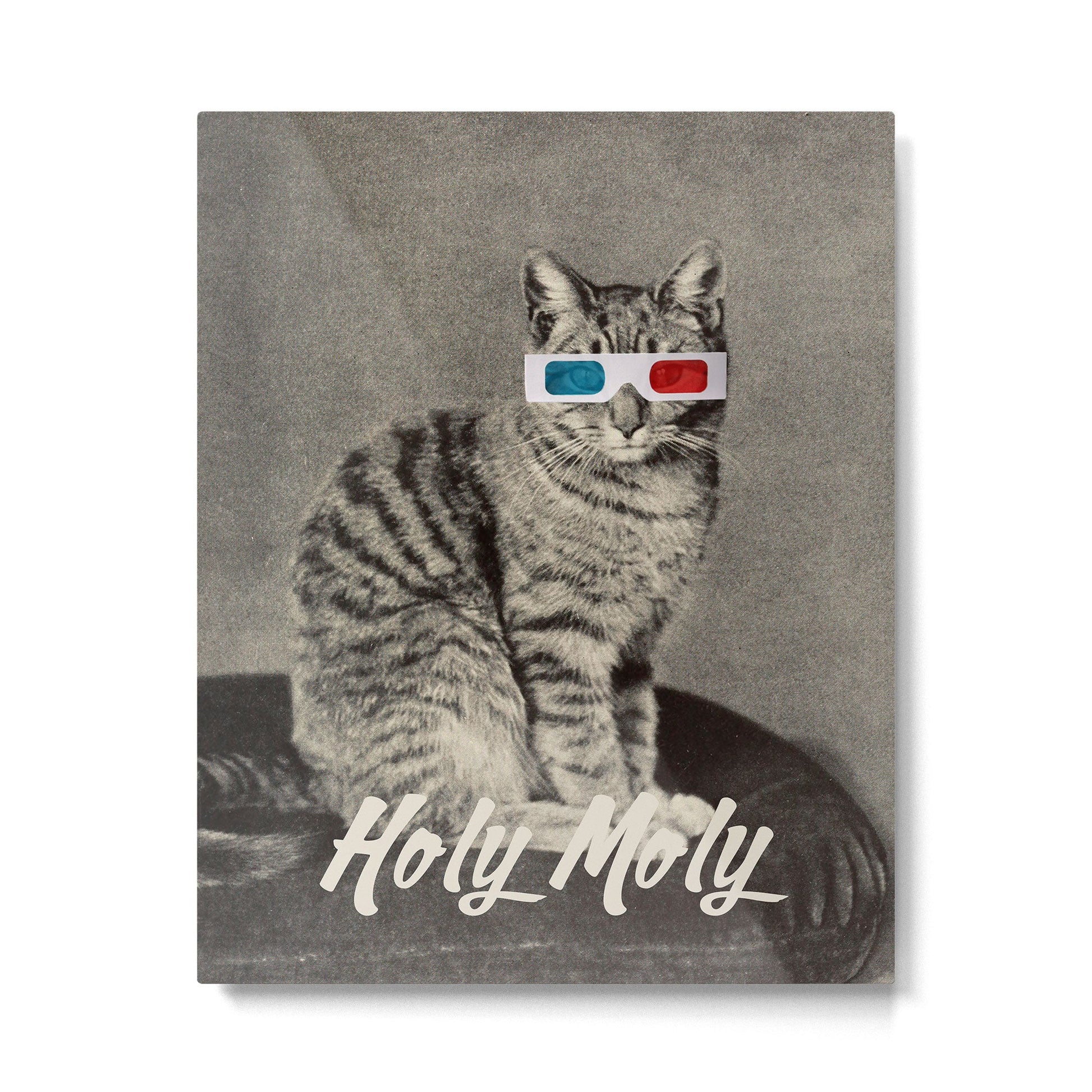 Holy Moly cat Metal Print | TeksDecor