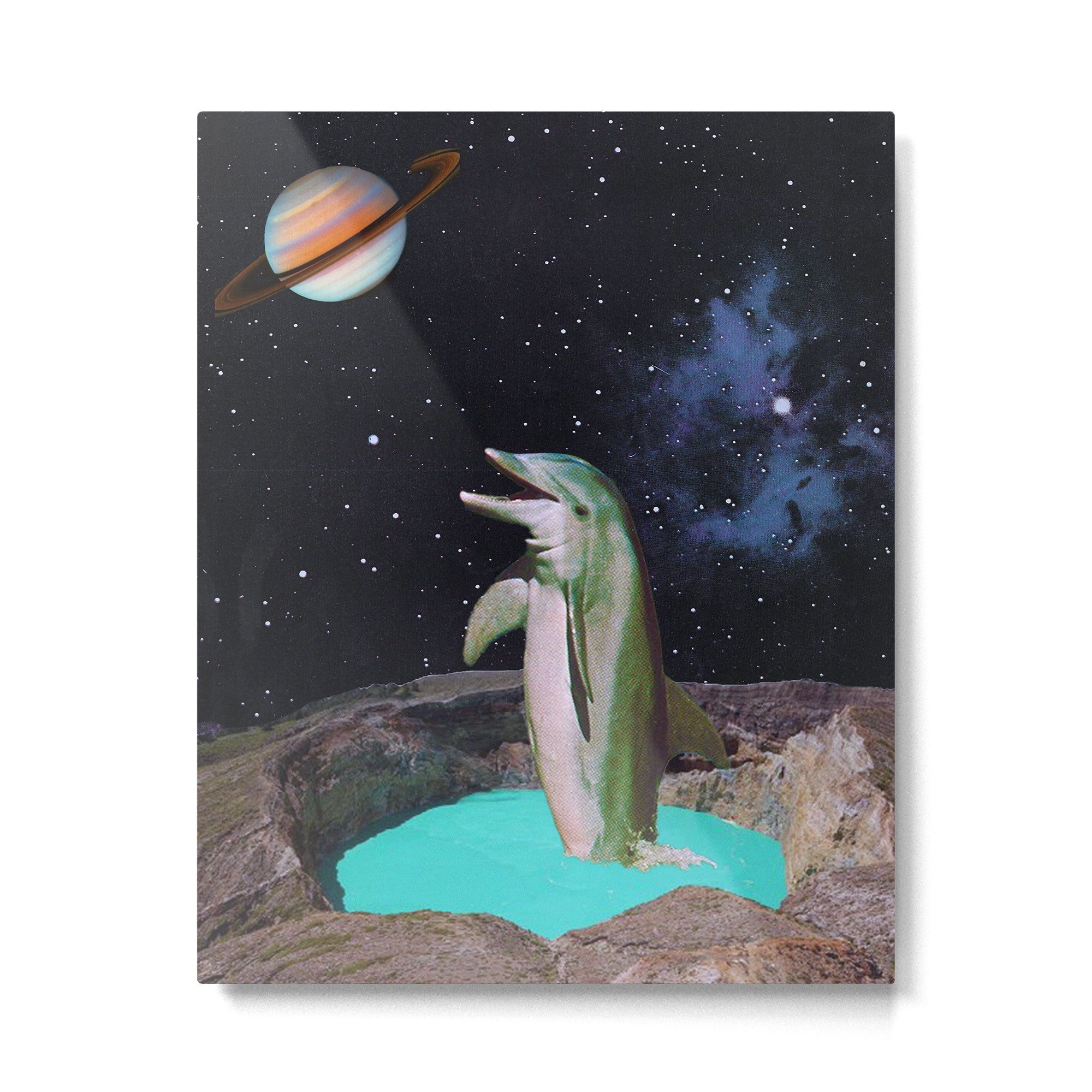 Planet Dolphin Metal Print | TeksDecor