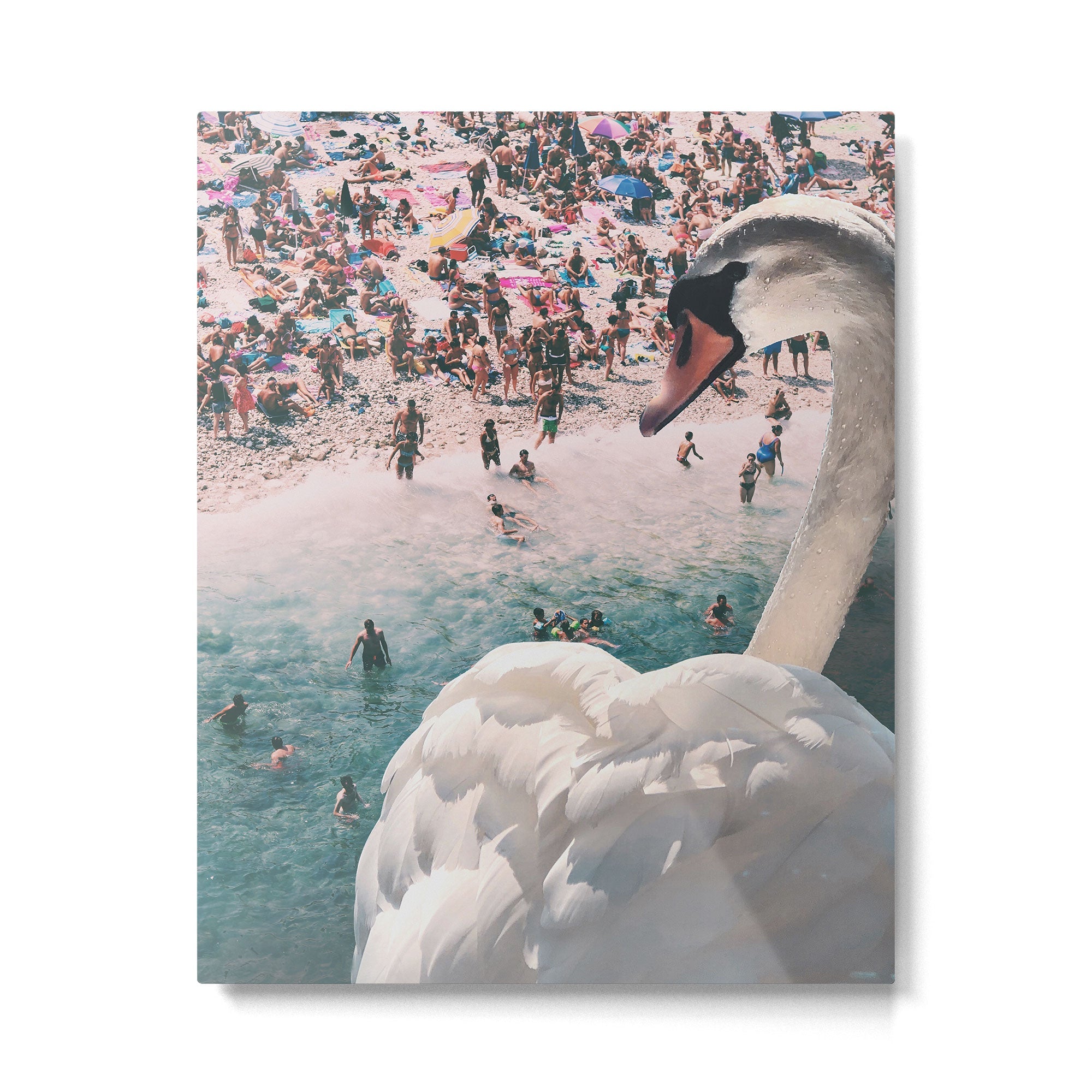 Swan on the Beach Metal Print | TeksDecor