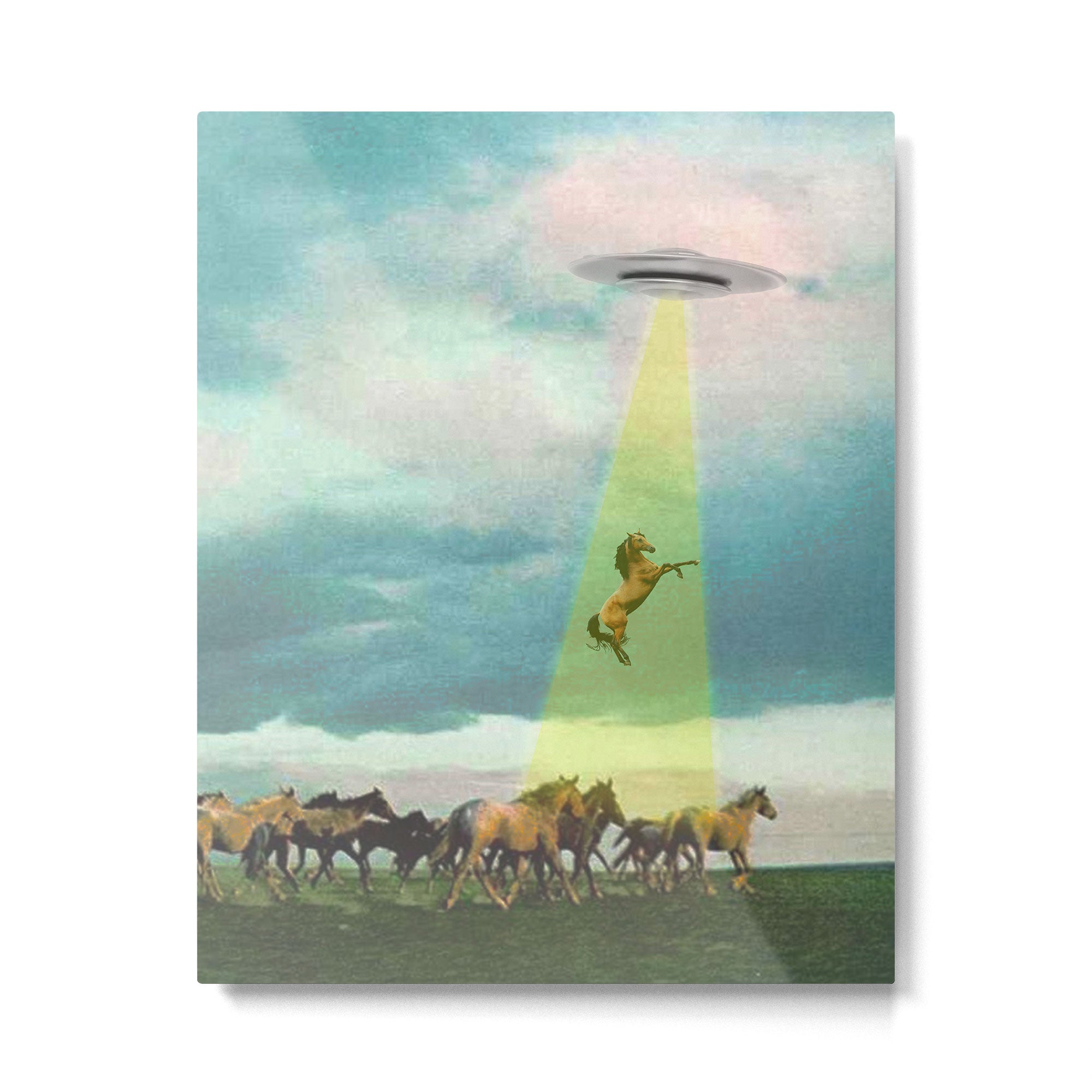 They too love horses (UFO) Metal Print | TeksDecor