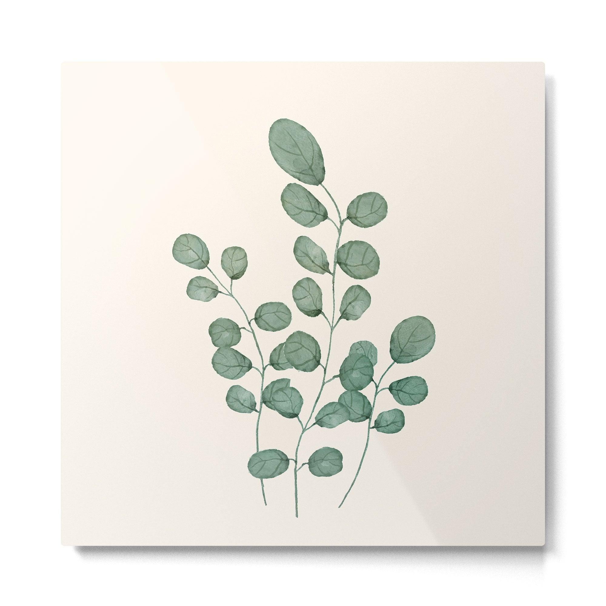 Watercolor Eucalyptus Metal Print | TeksDecor