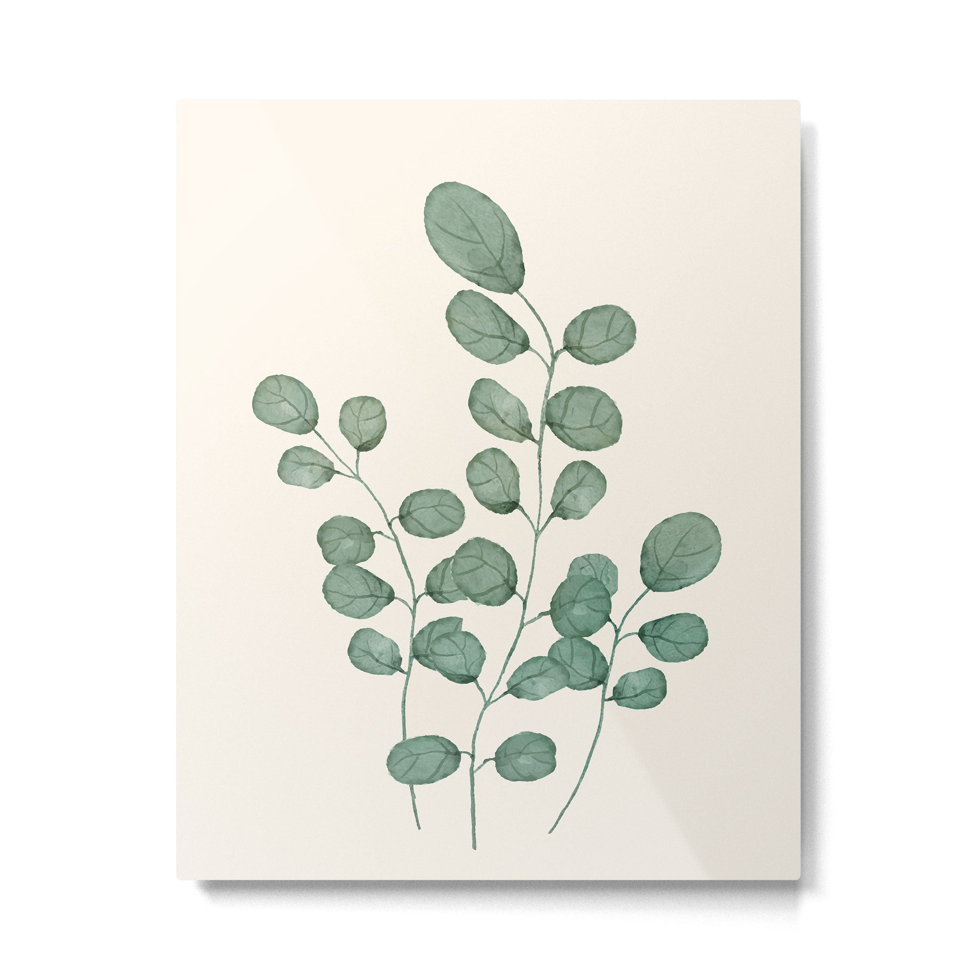 Watercolor Eucalyptus Metal Print | TeksDecor