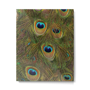 peacock feathers Metal Print | TeksDecor