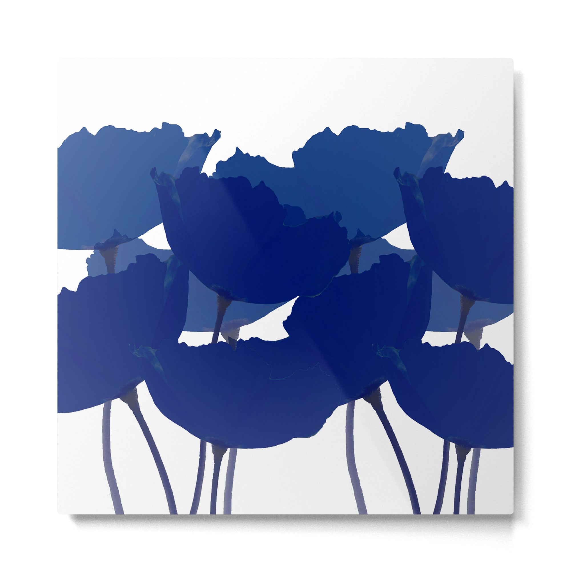 Blue Poppy Flowers on White Background #decor #society6 #buyart Metal Print | TeksDecor